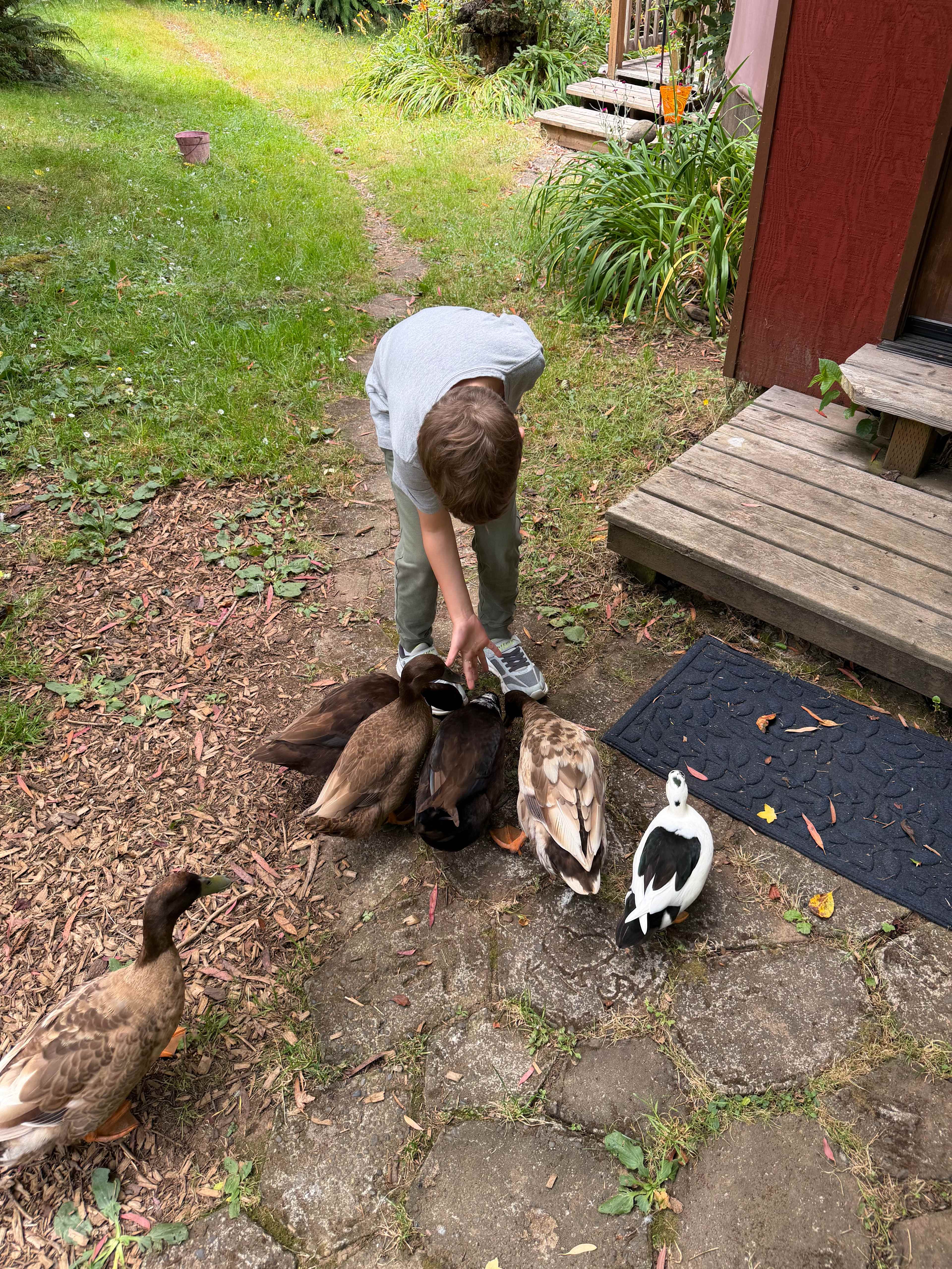 Feeding the ducks