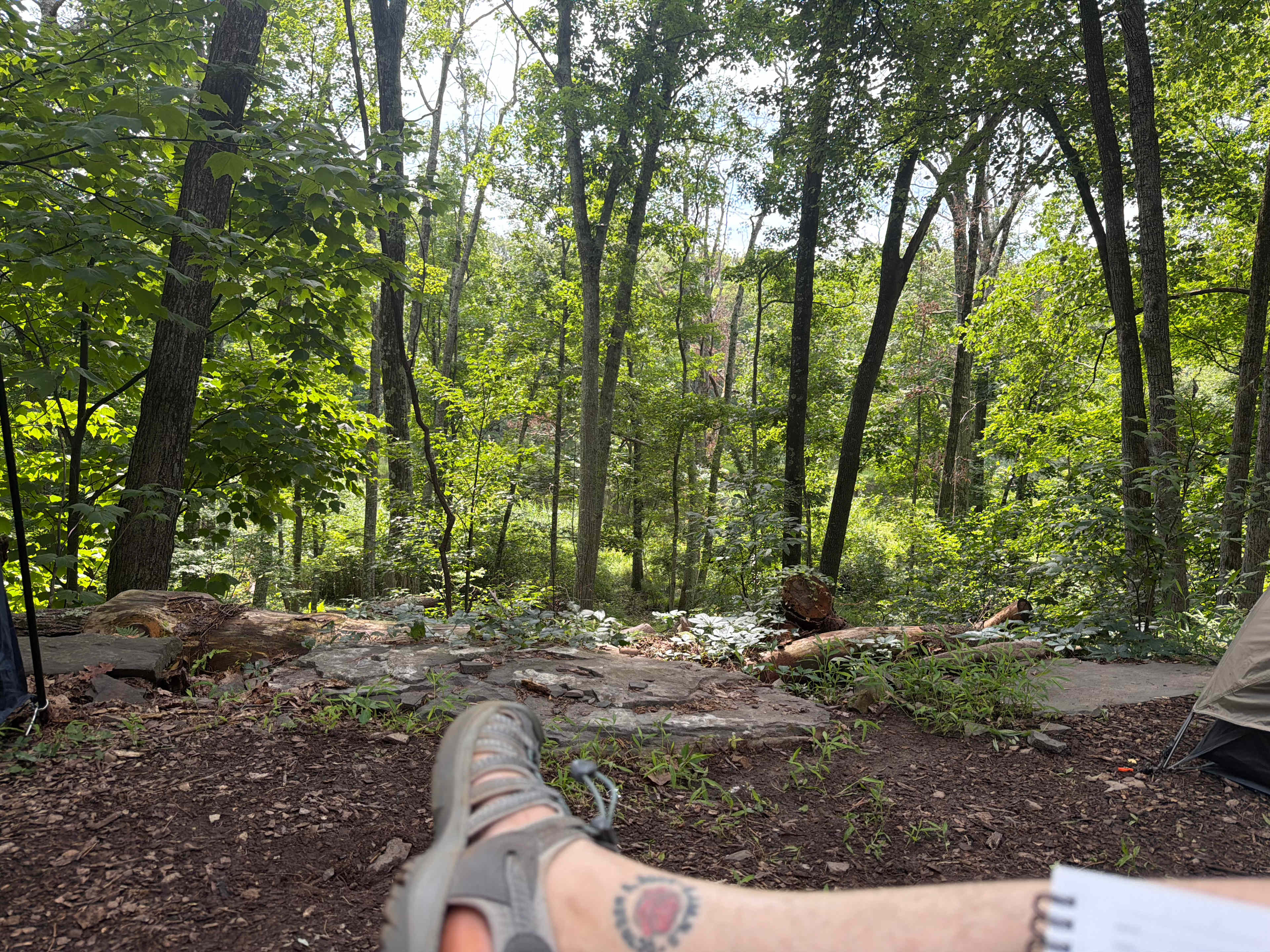 Peace And Quiet in the Catskills