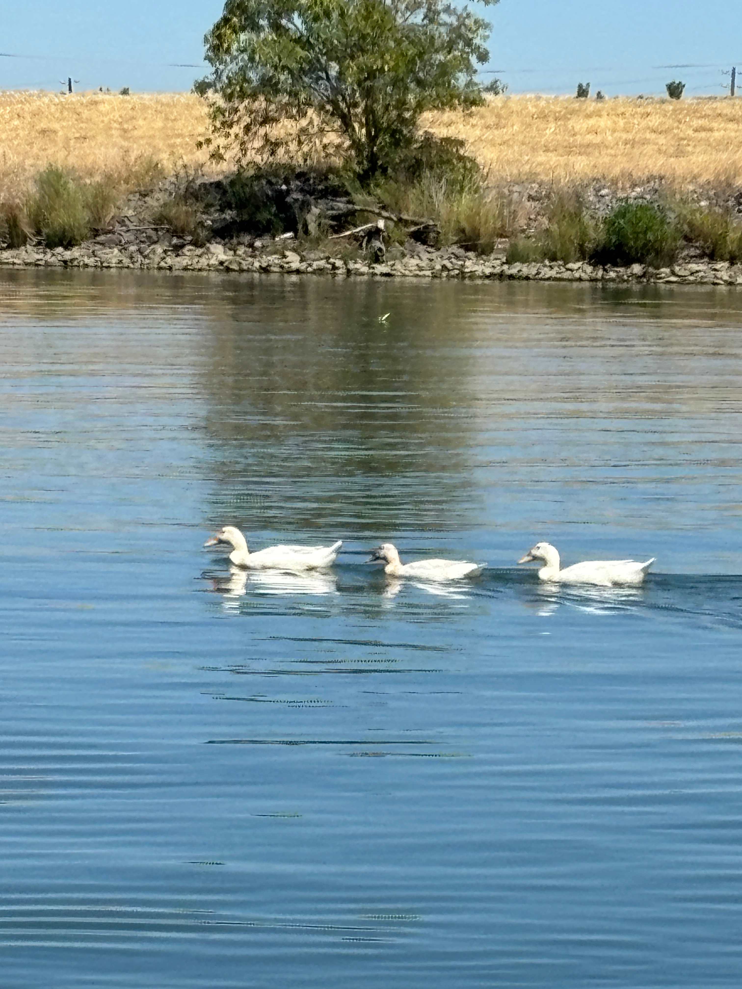 Unhitched Snug Harbor RV Park & Marina