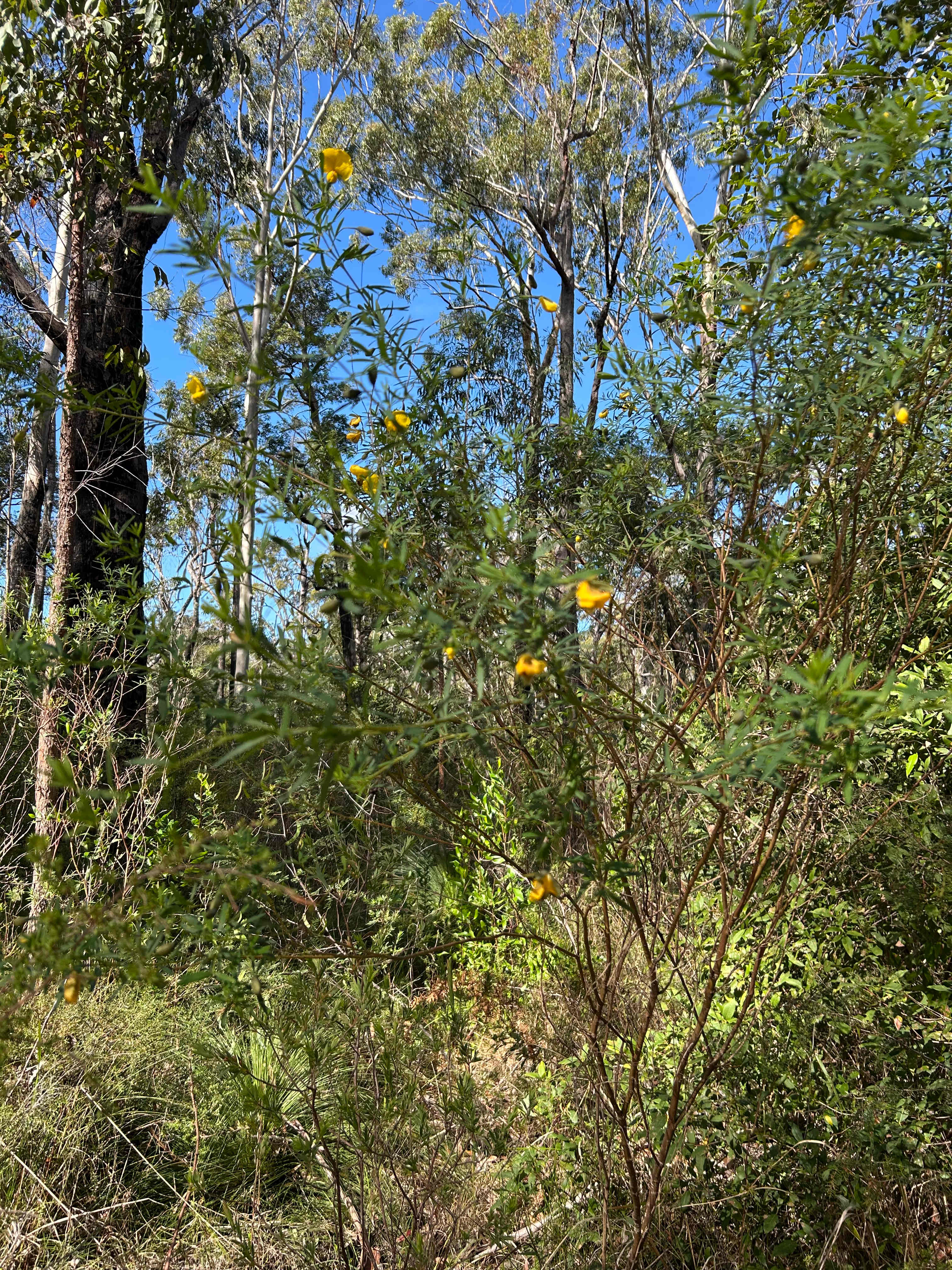 Groundswell Guest Camp