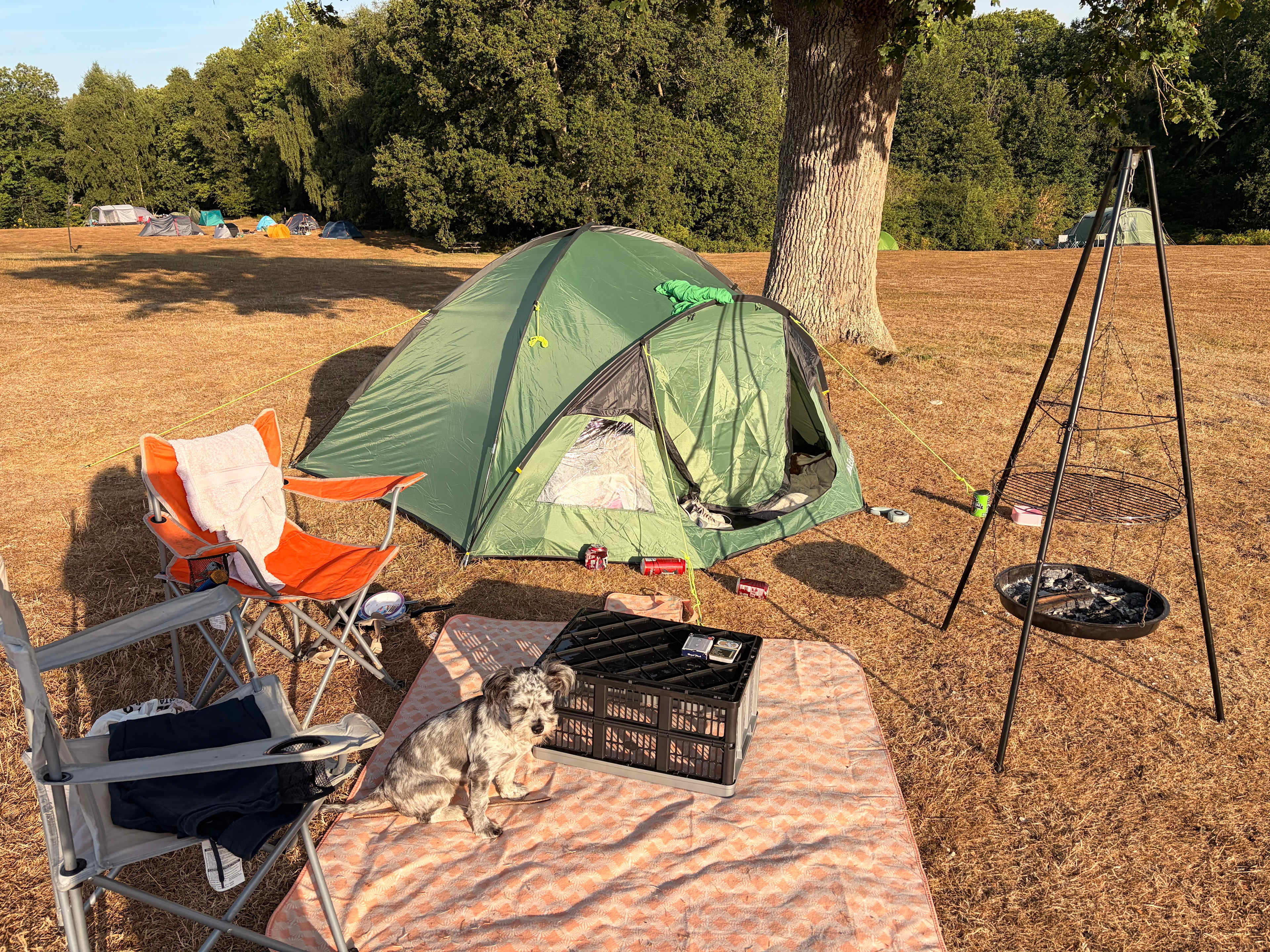 Oak Valley Lodges & Camping