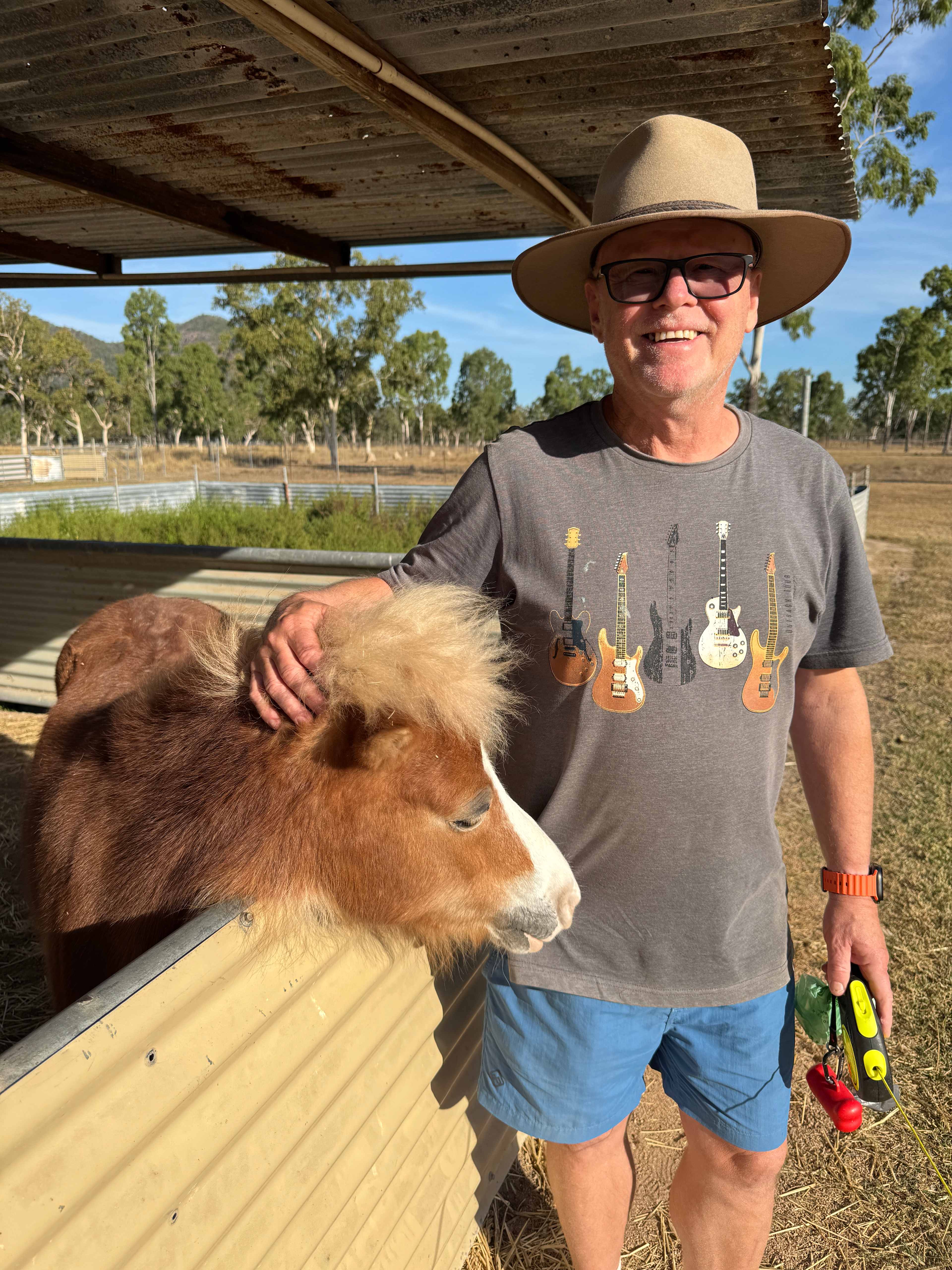 Mountview Farm Stay and Poodles