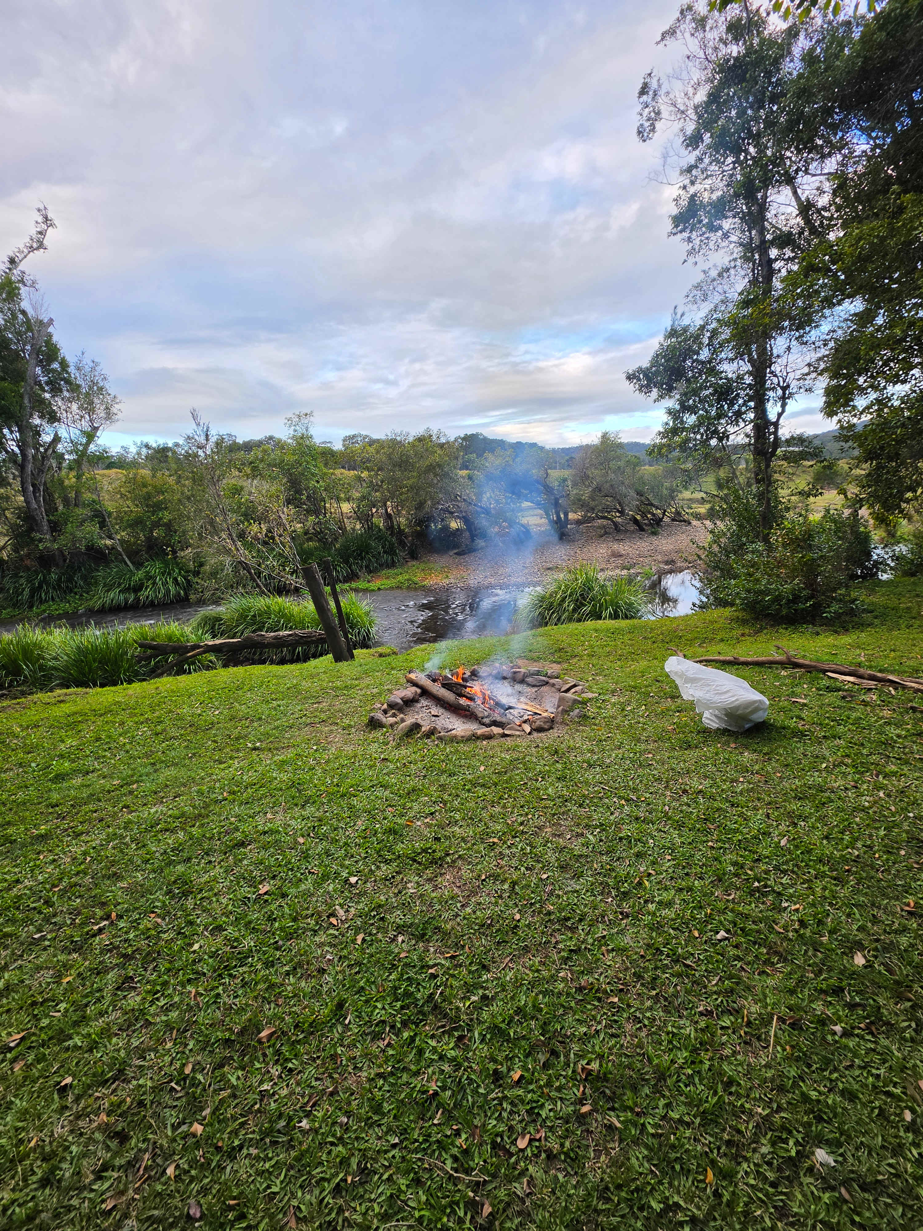 Koala Creek Camping