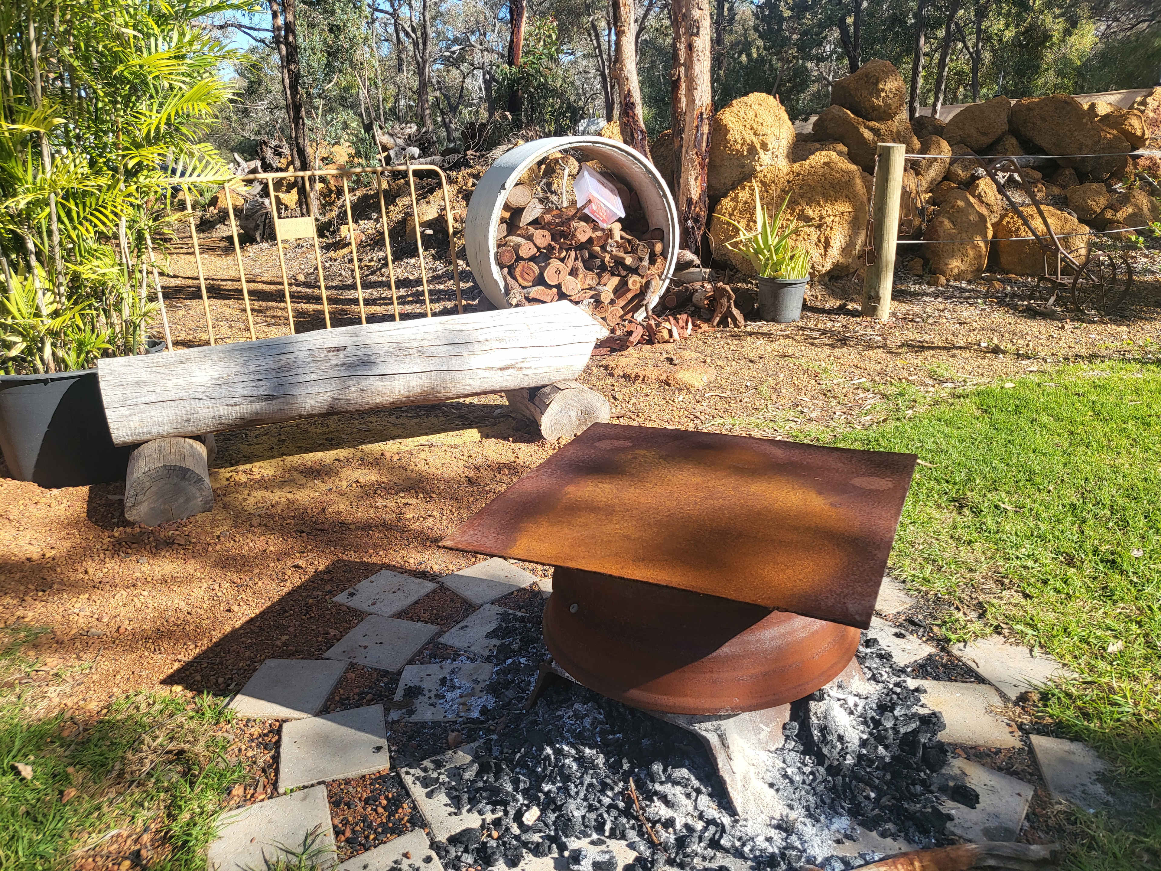 Evergreen Bush Stayz