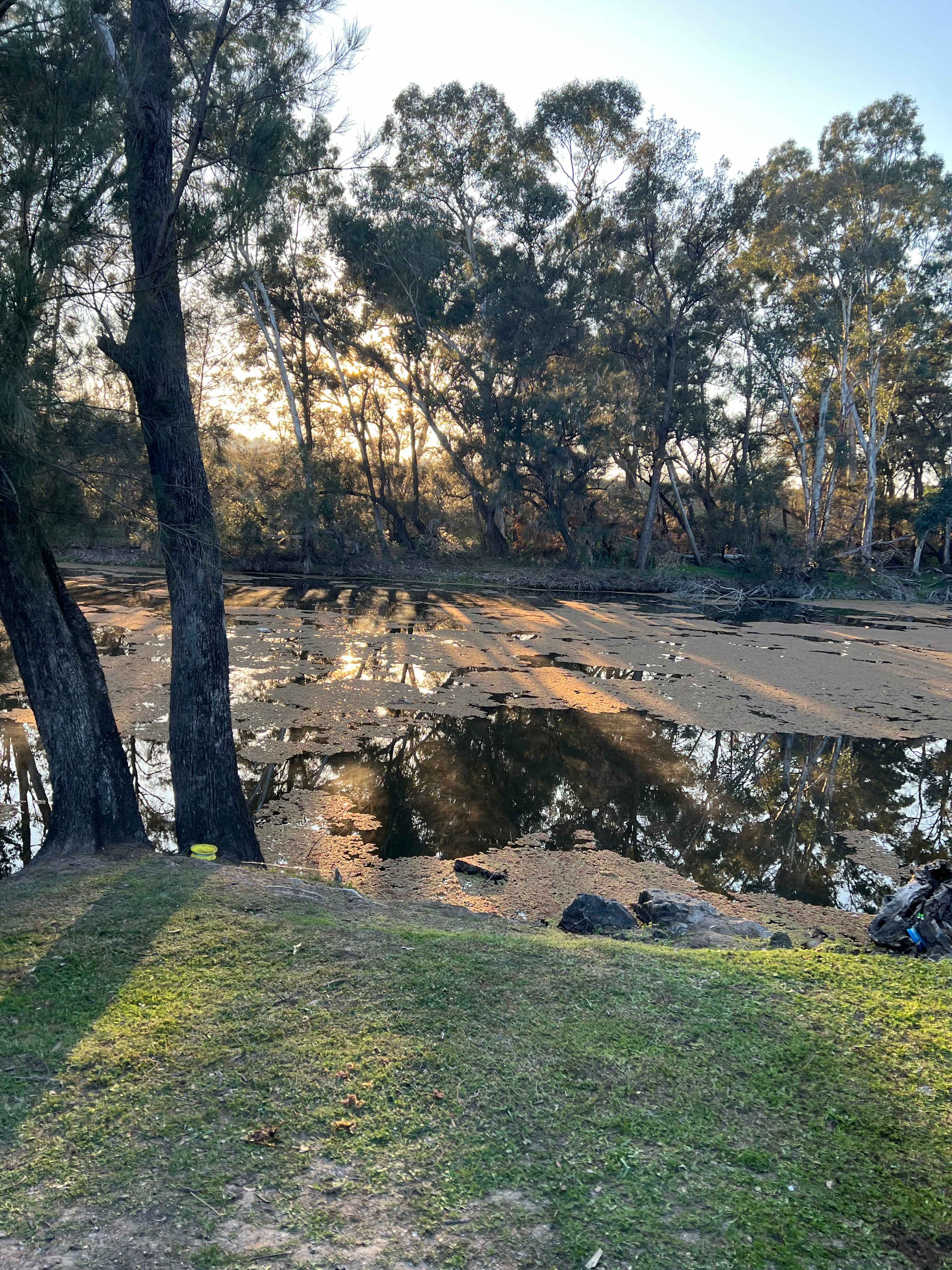 Fernlee Station
