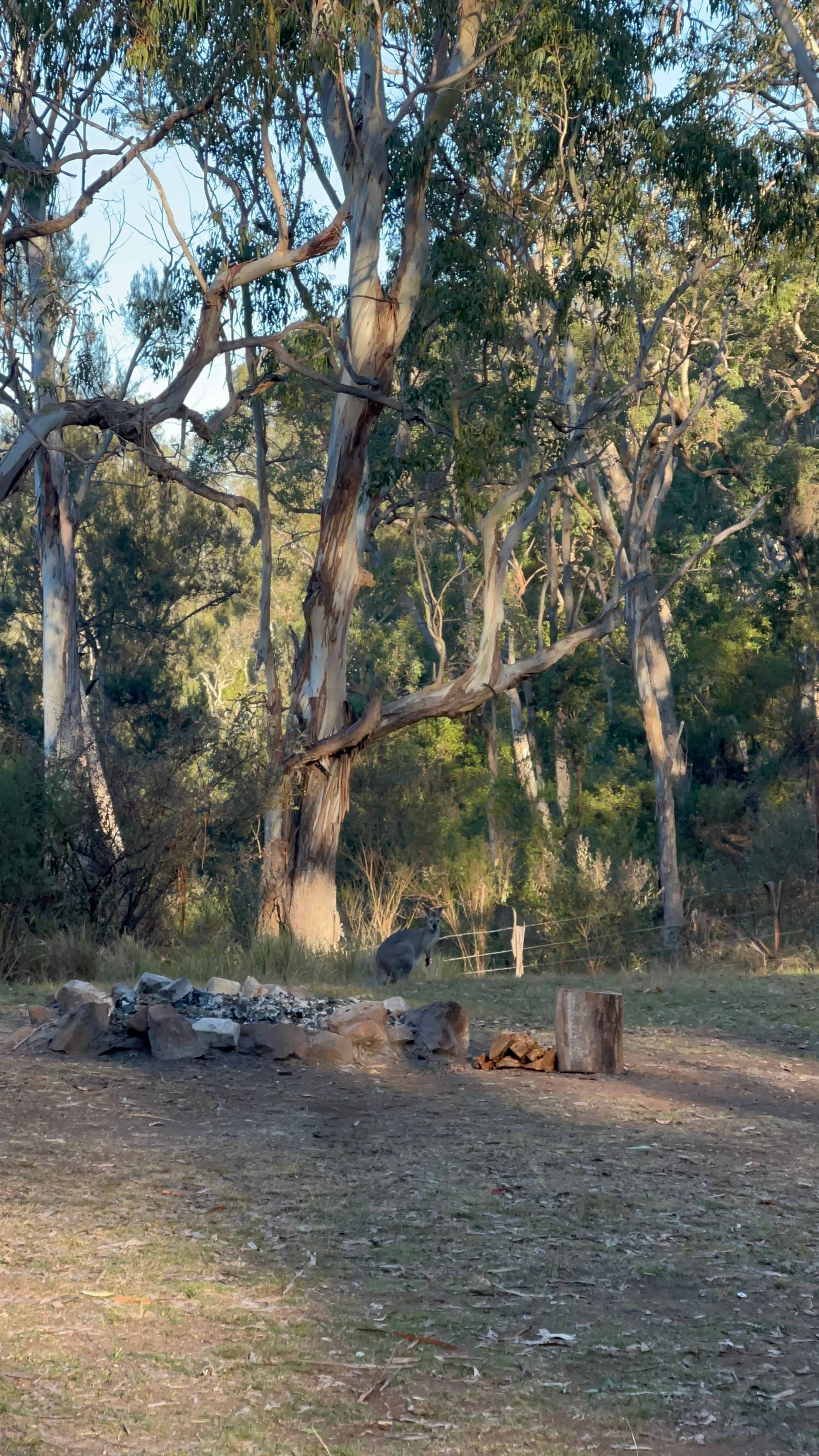 Higgins Country Retreat