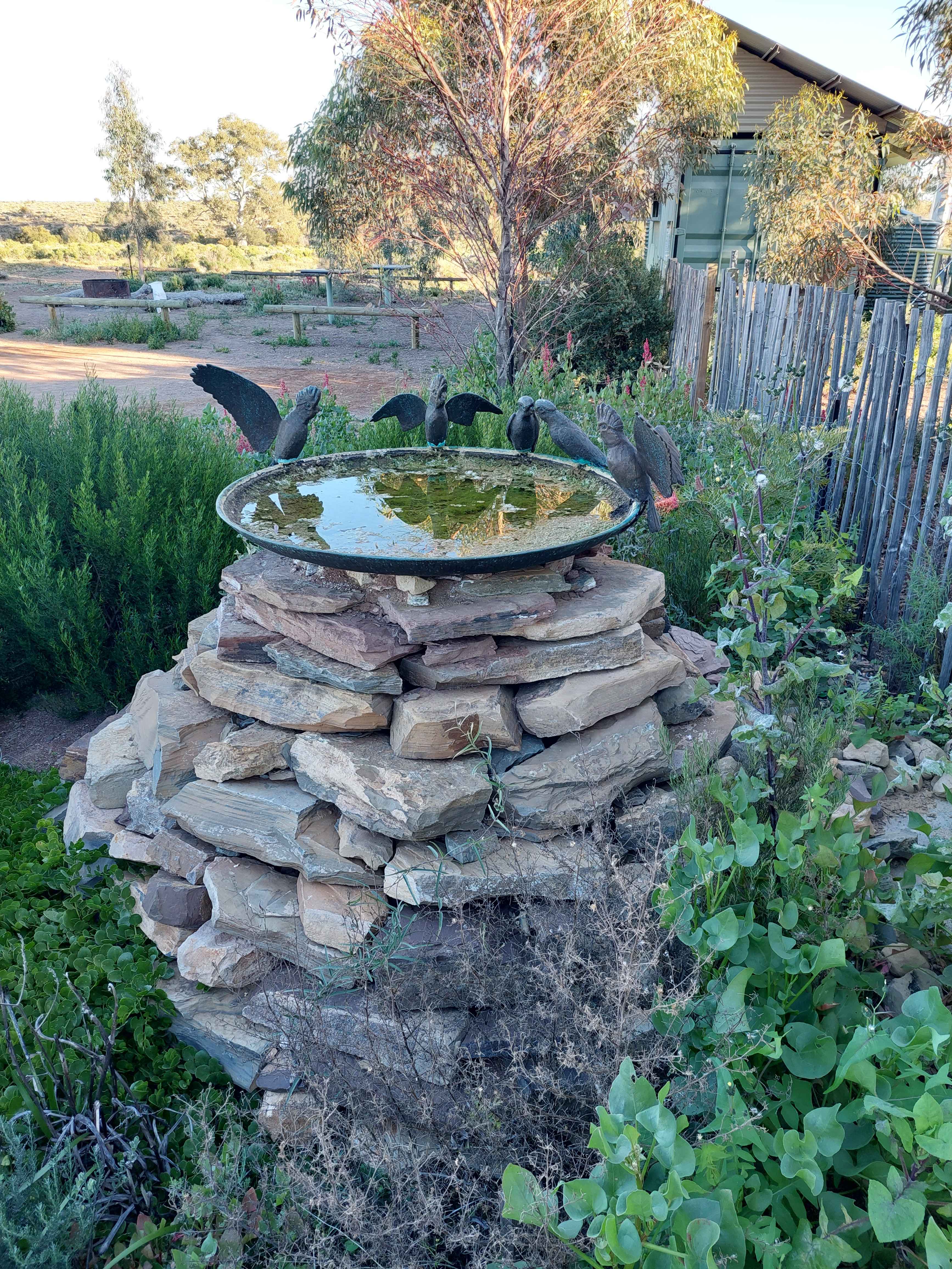 Amazing bird bath