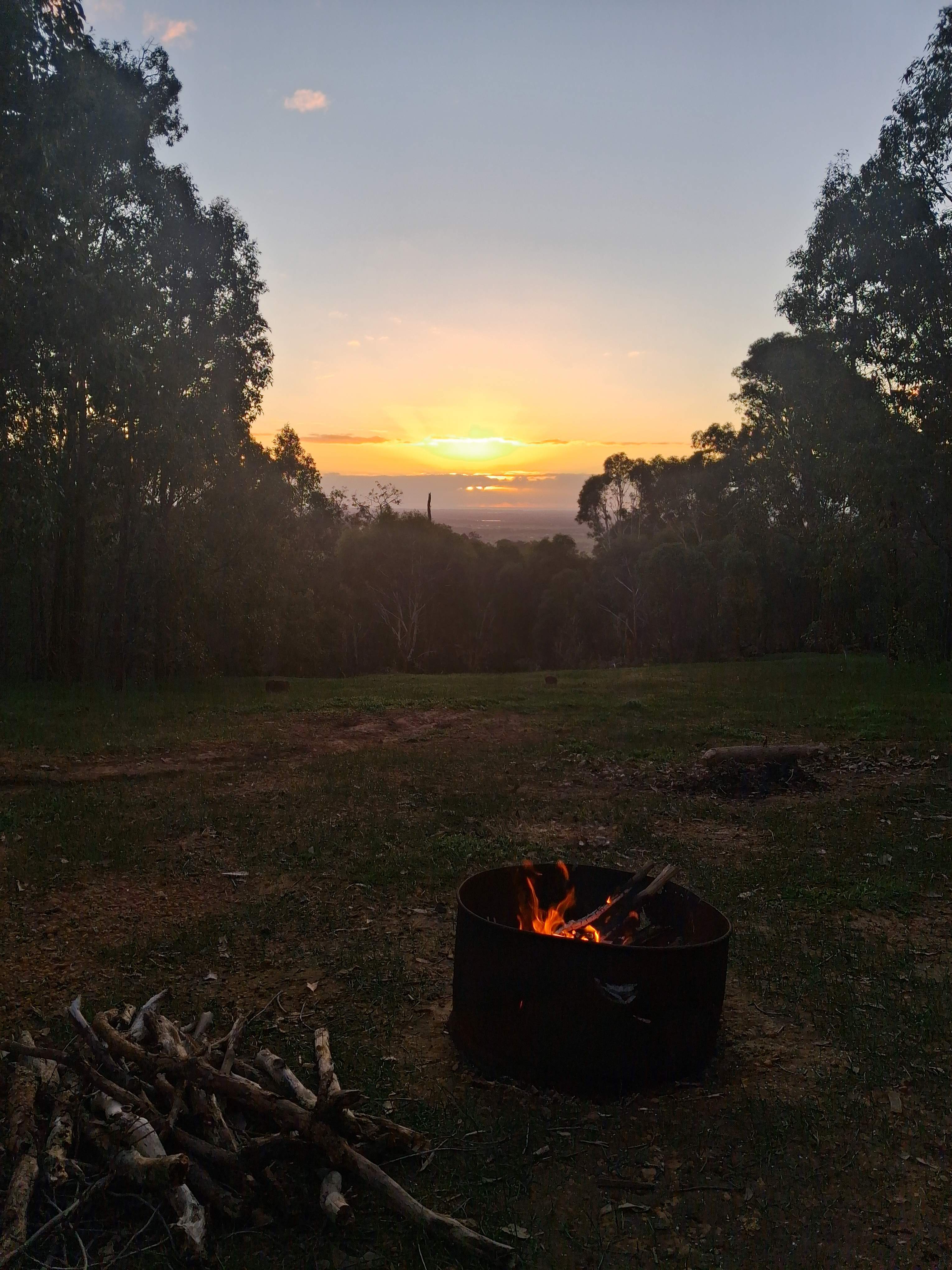 Plenty of firewood around to use
