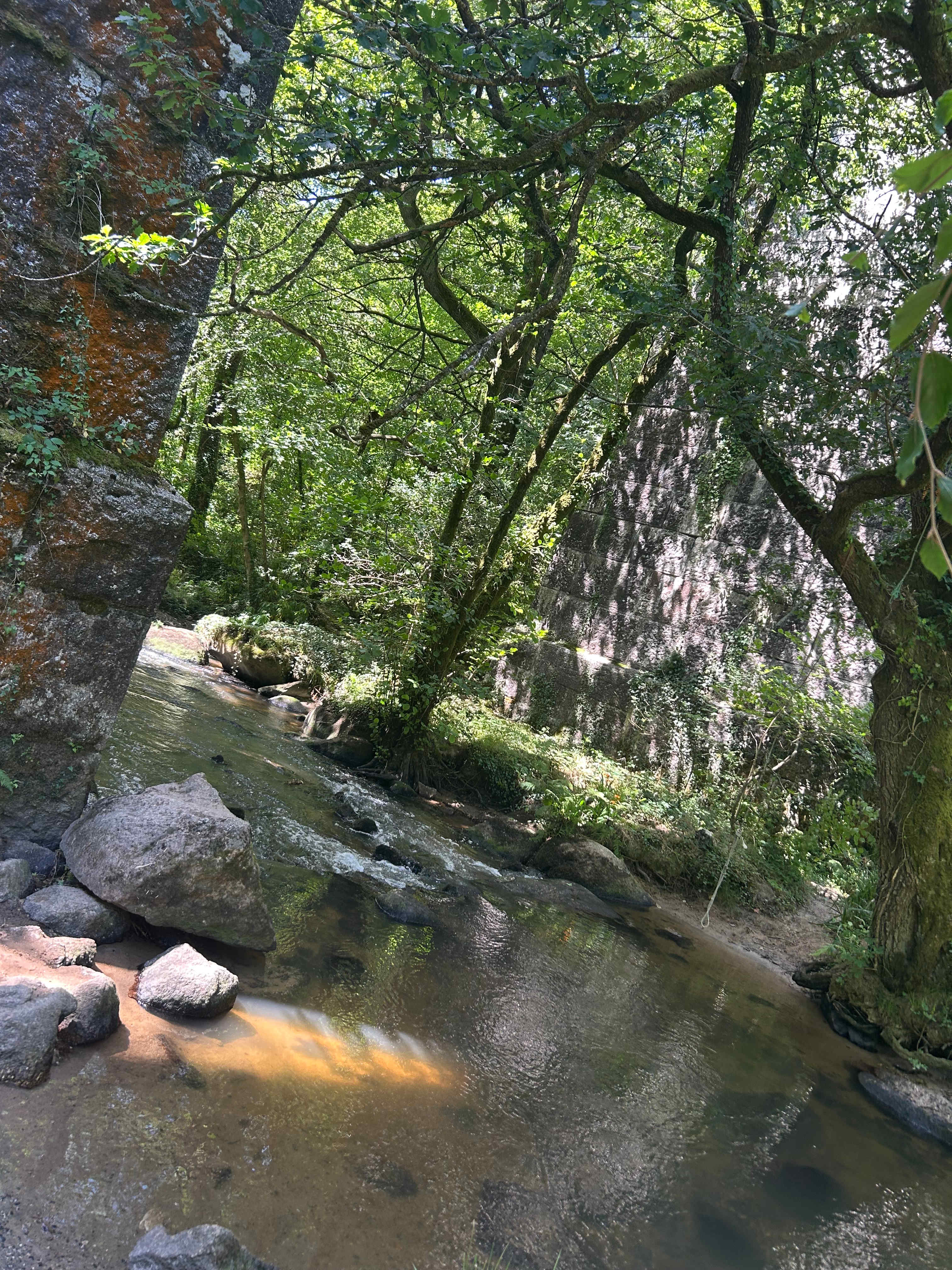 Luxulyan valley 