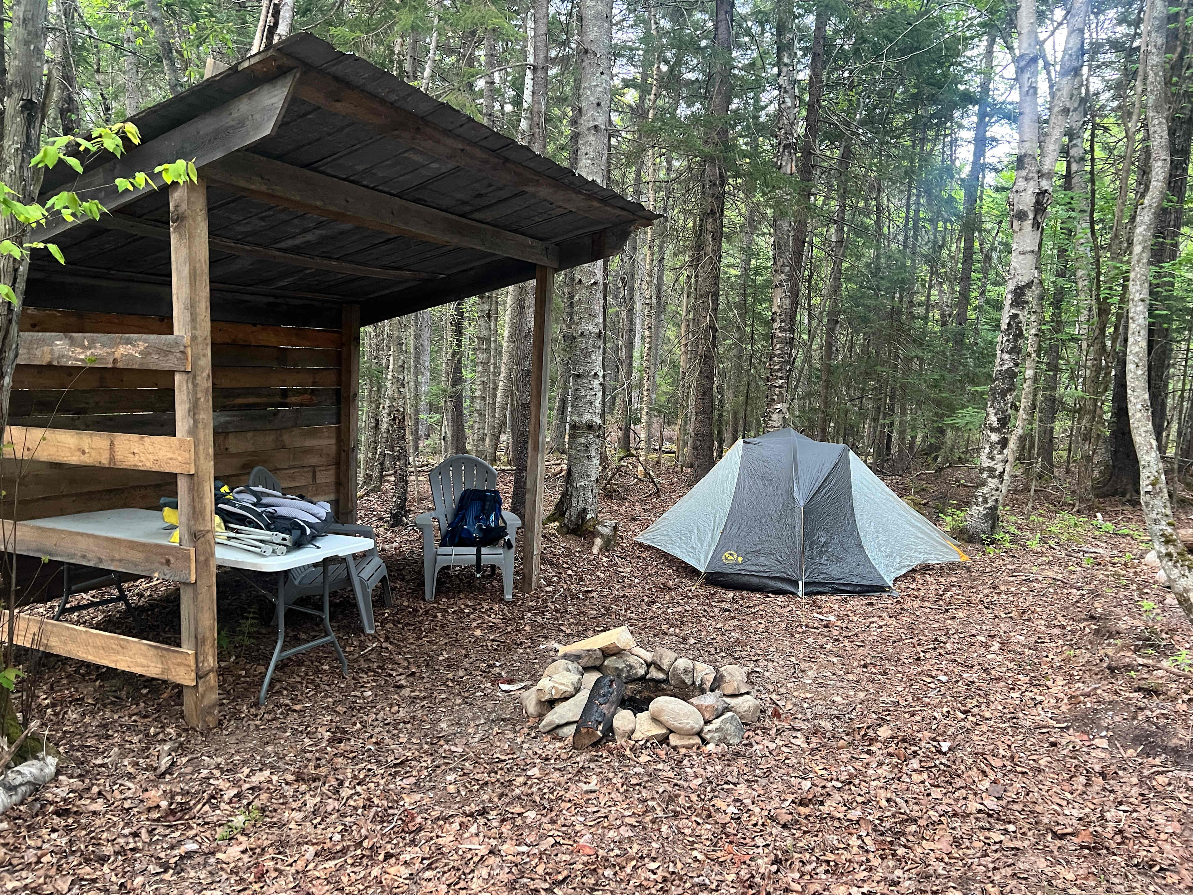 Picture of the site