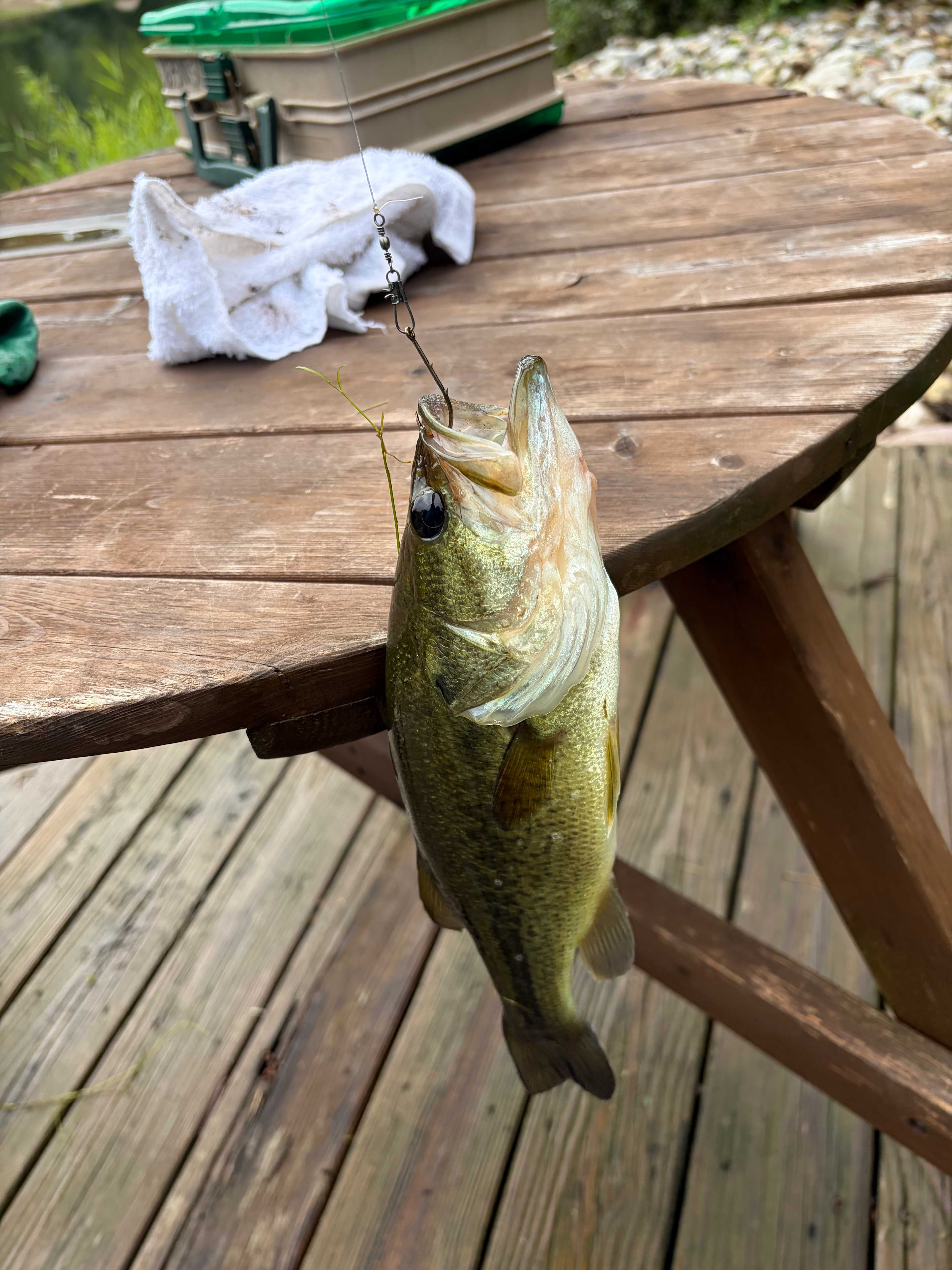 Great fishing!