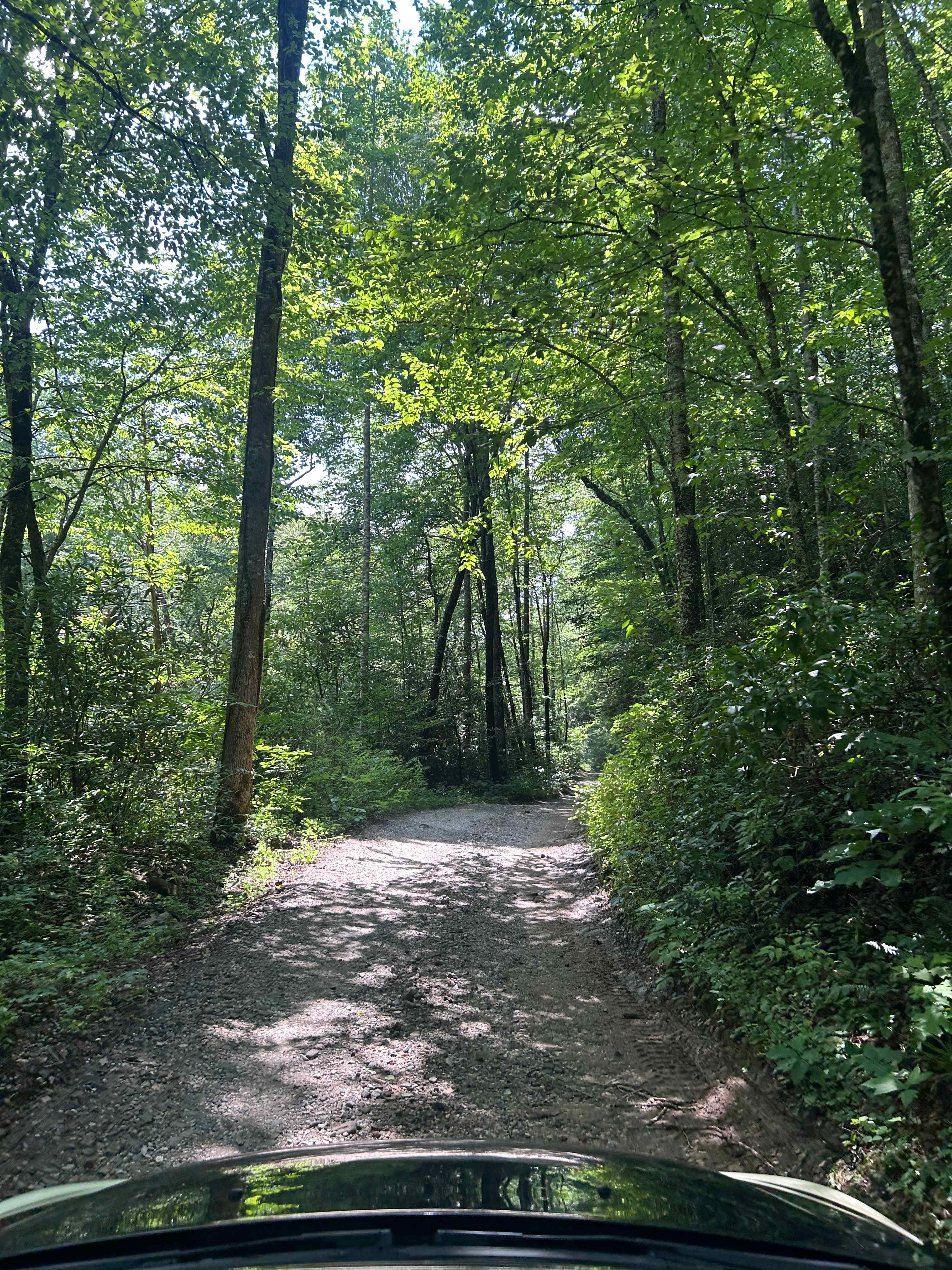 Mountain Creek Rest