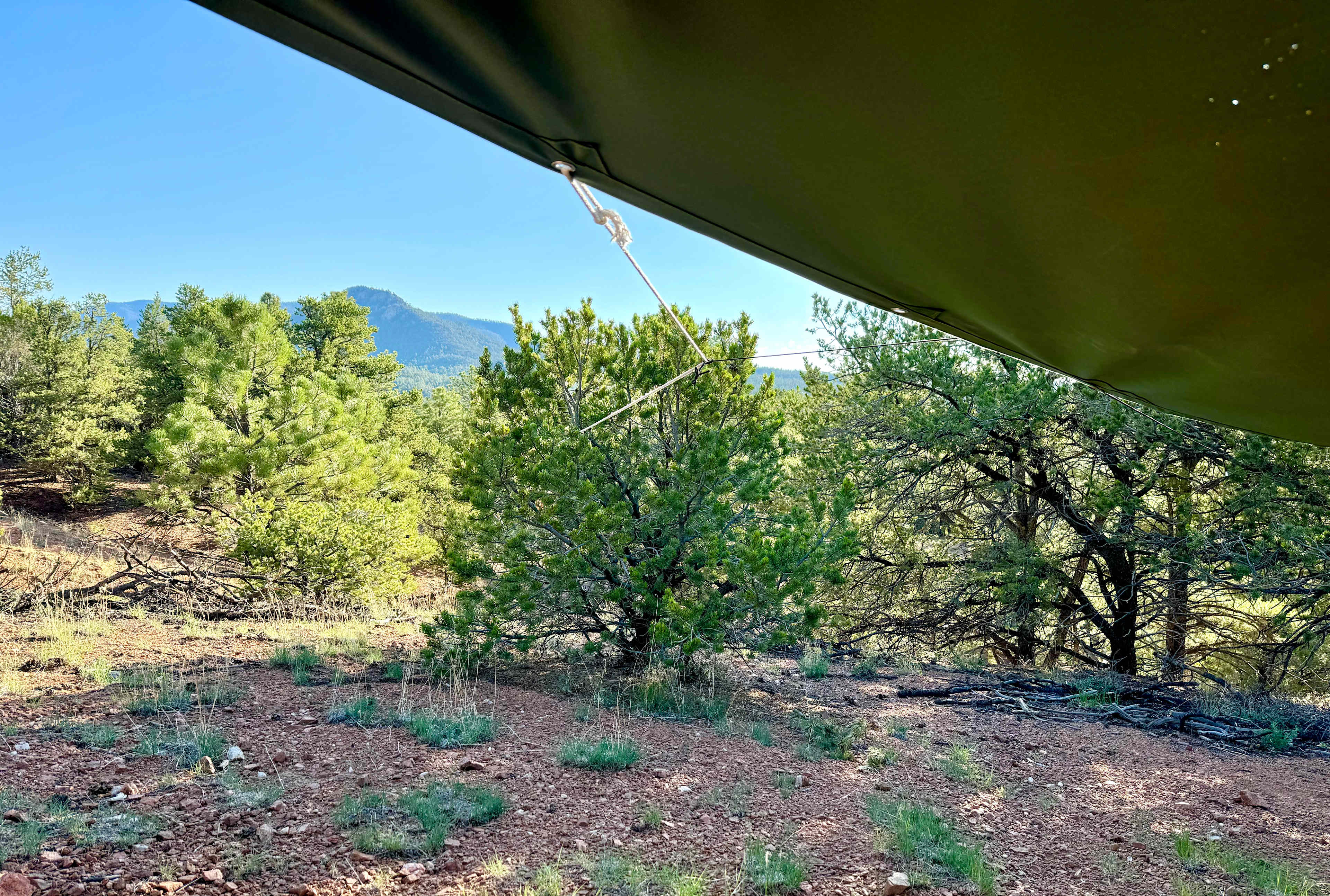 Santa Fe Treehouse Camp & Wilderness Preserve