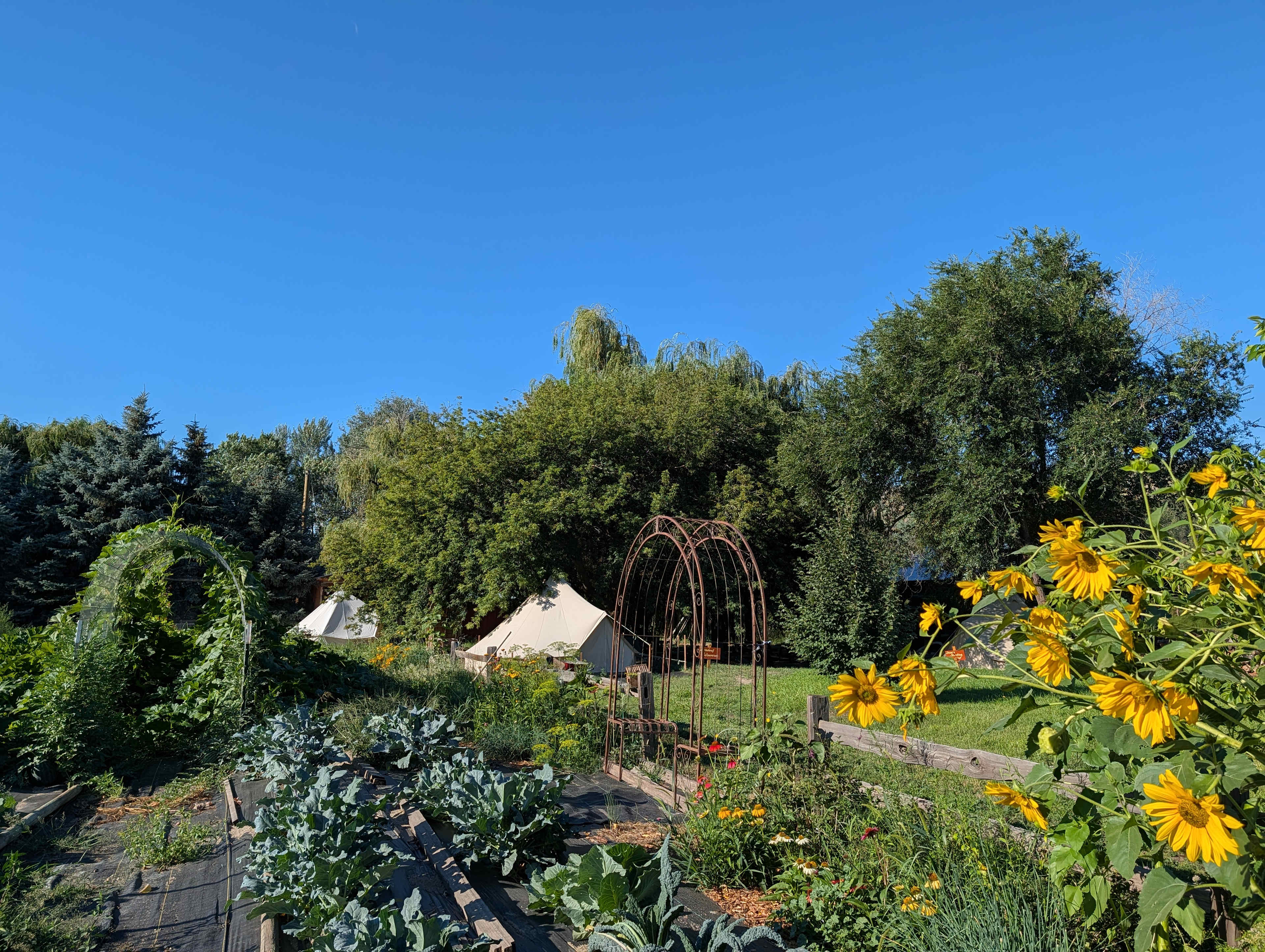 Beautiful setting