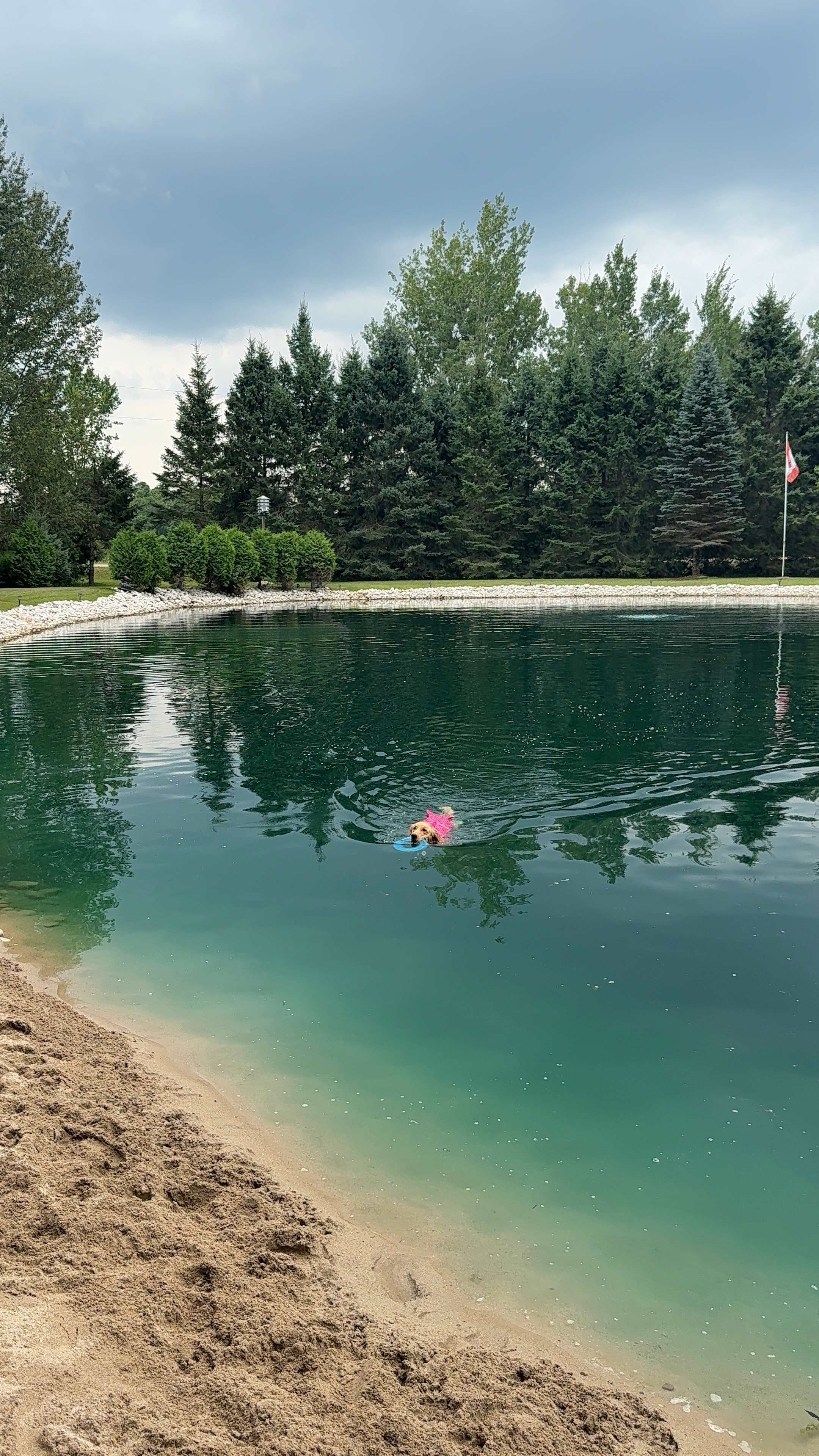 Willow Pond Haven