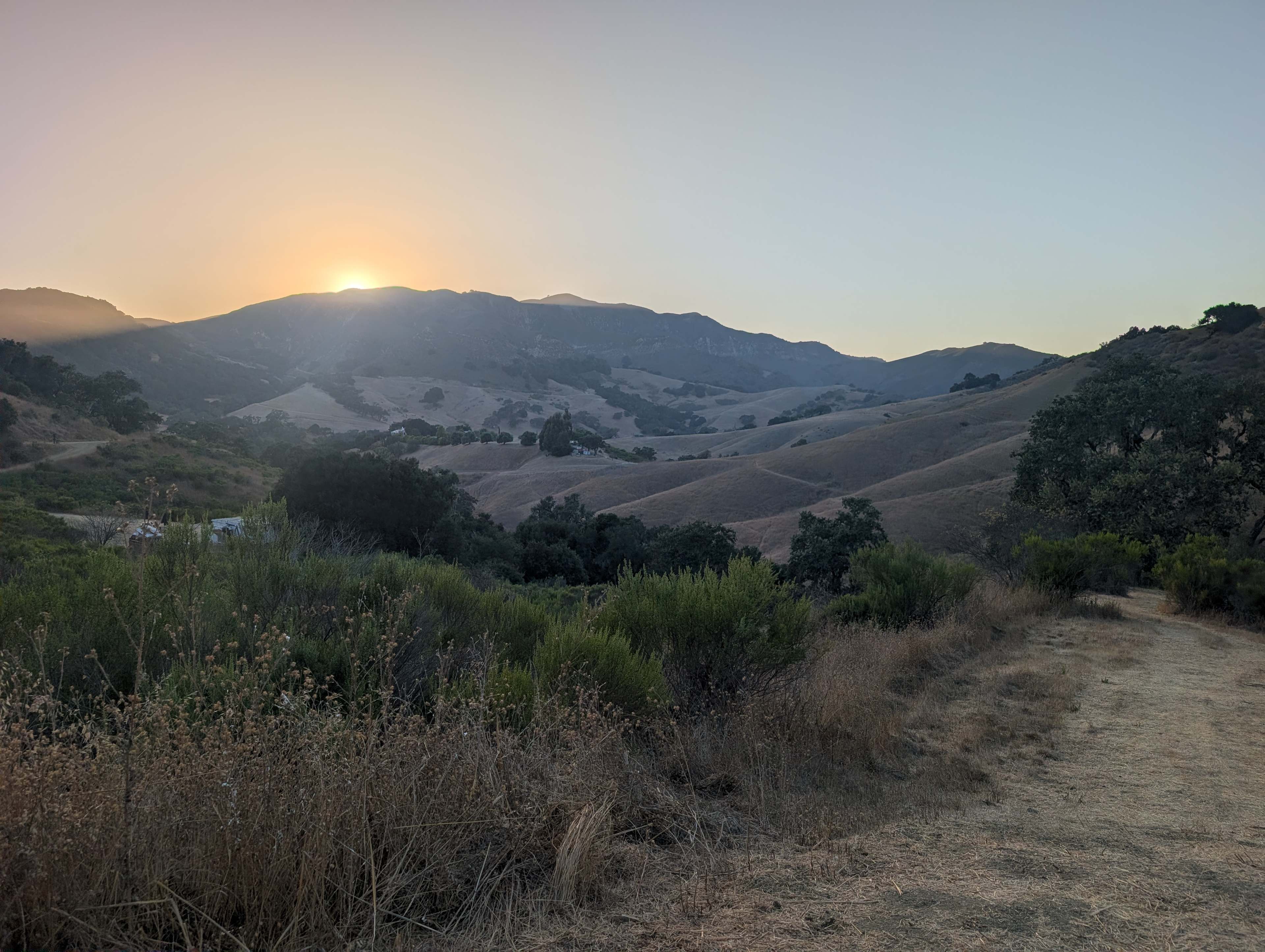 Freedog Farms @ Cactus Flower Ranch