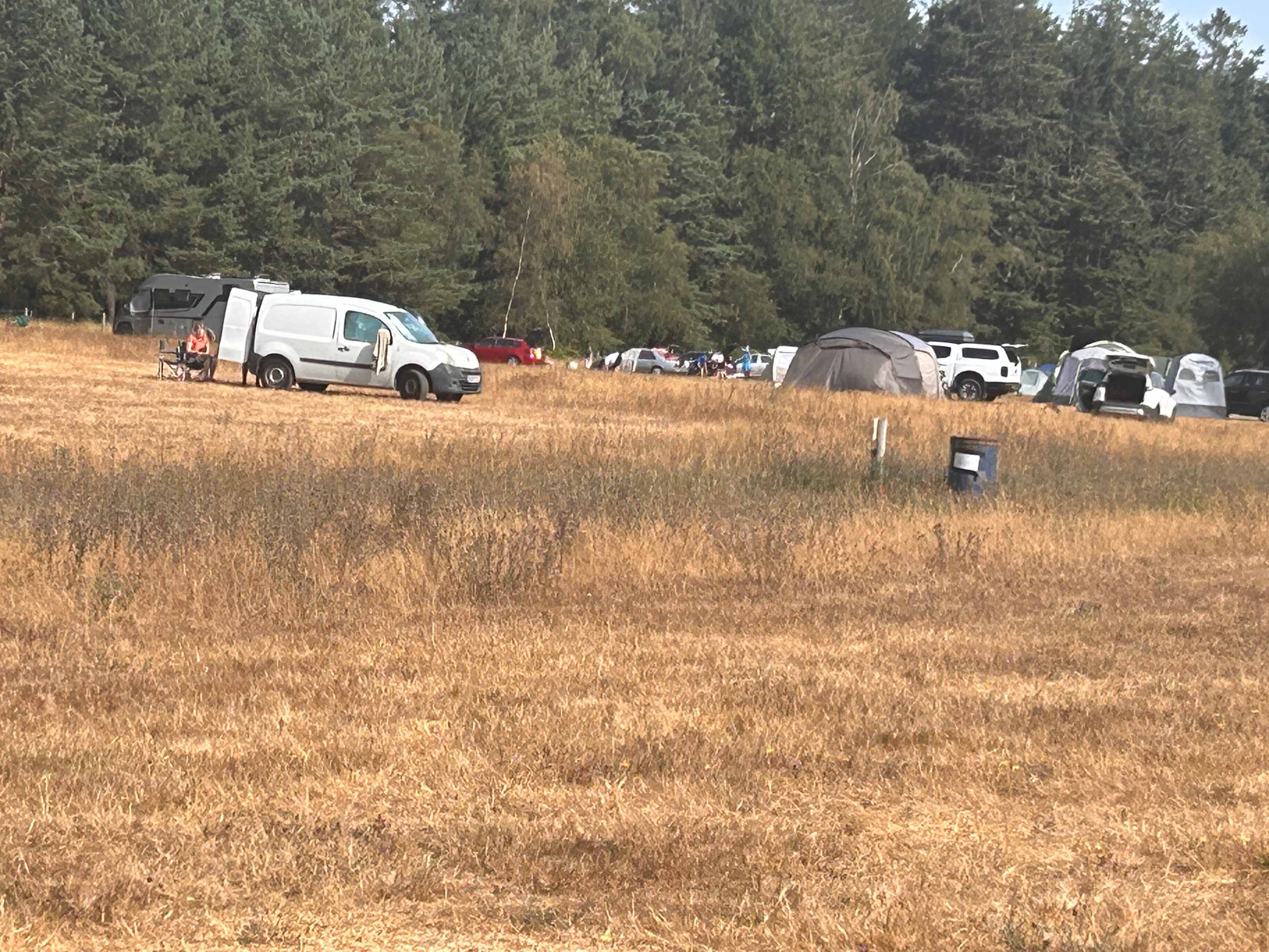 Plenty of space between tents the wildflowers were struggling in the heat but you can imagine they are beautiful with a little rain 