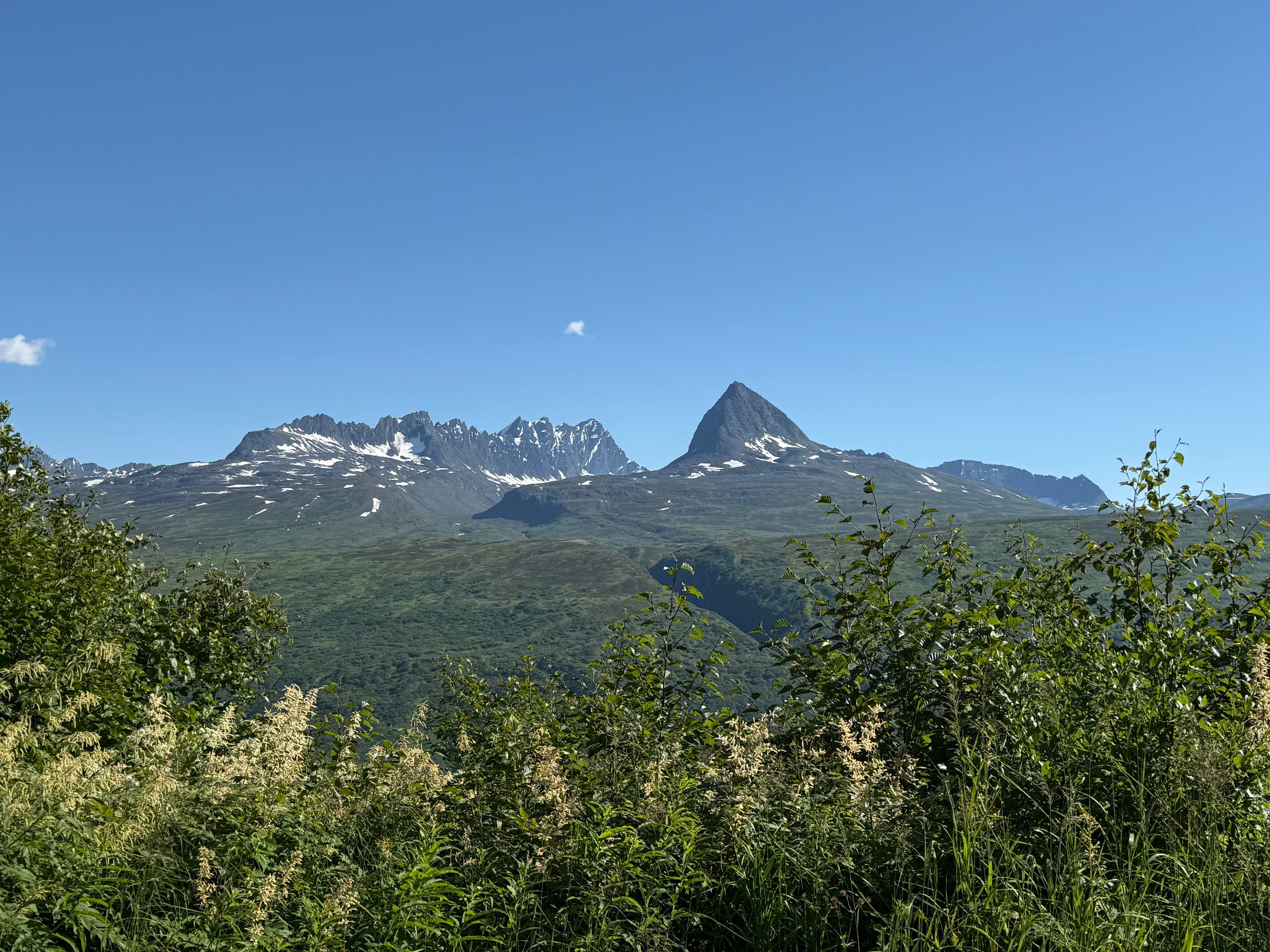 View while sitting at the picnic table. 