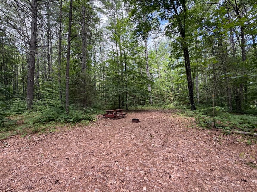 Picture of the site