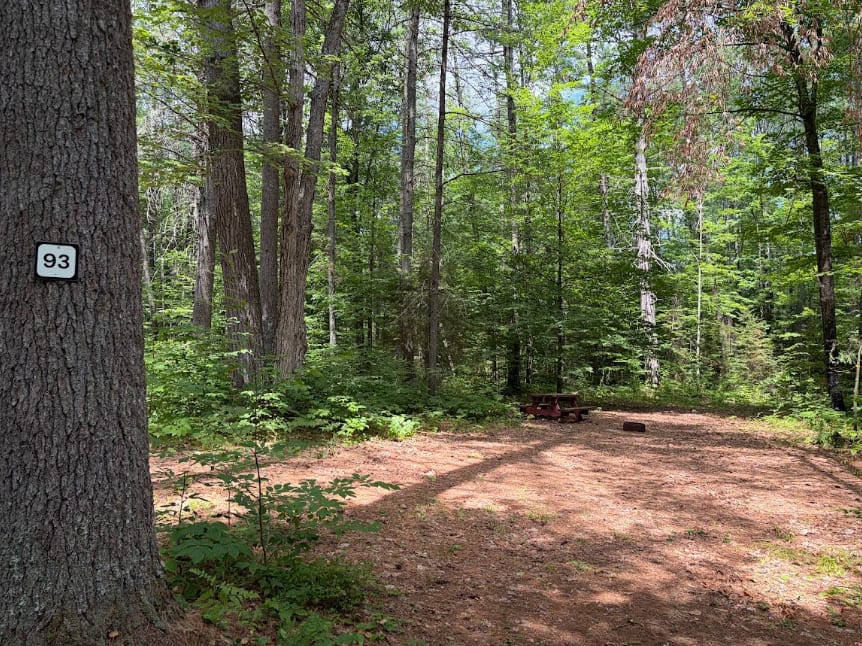 Picture of the site