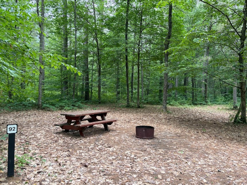 Picture of the site