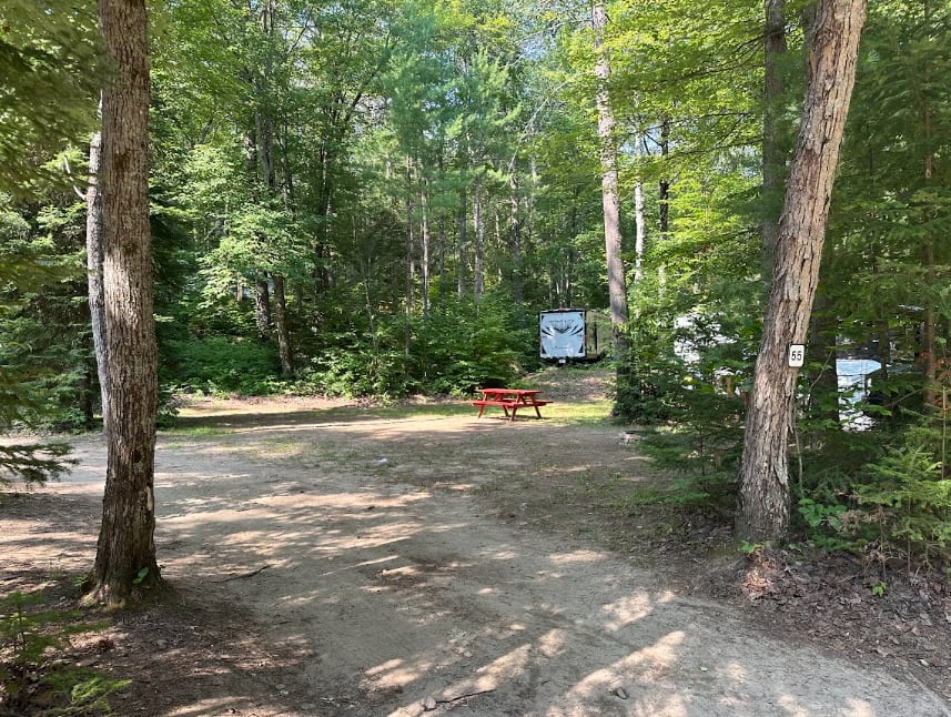 Picture of the site