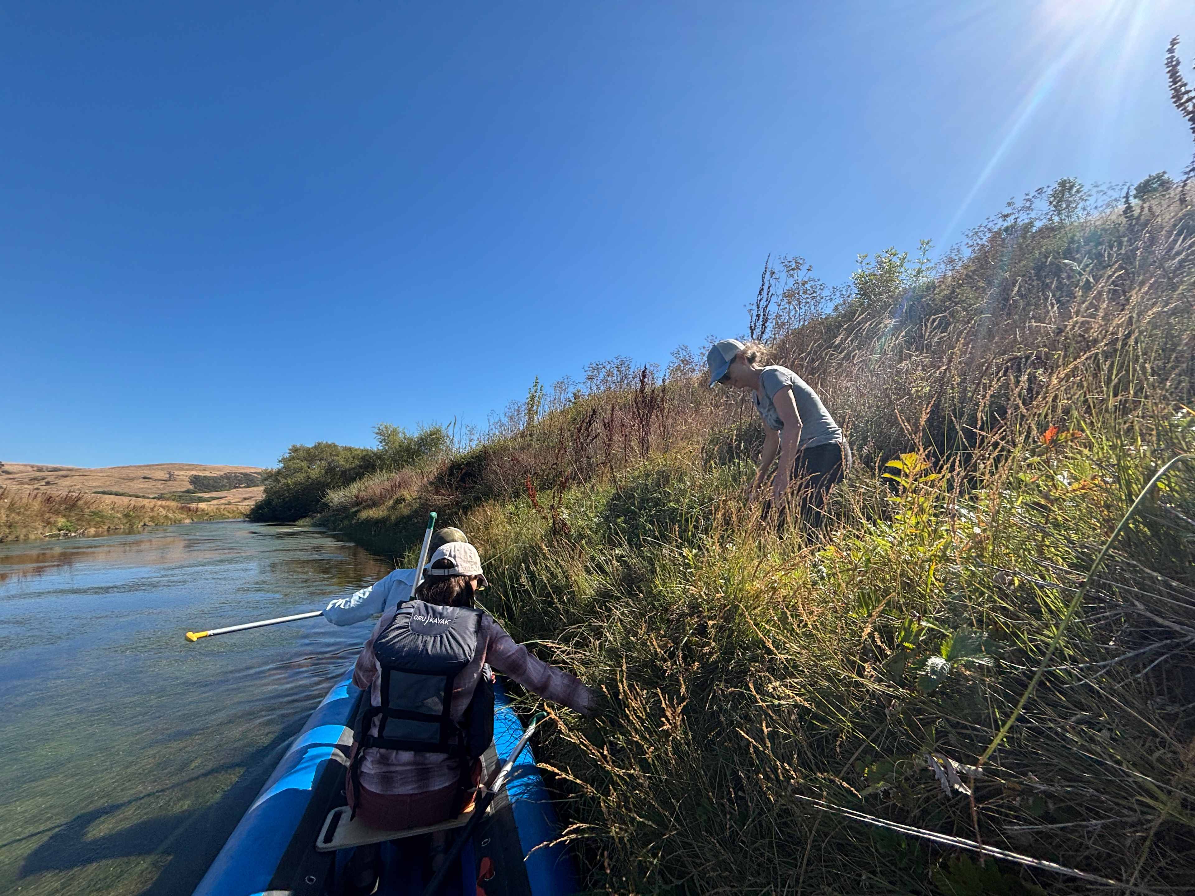 Estero San Antonio Wonderland