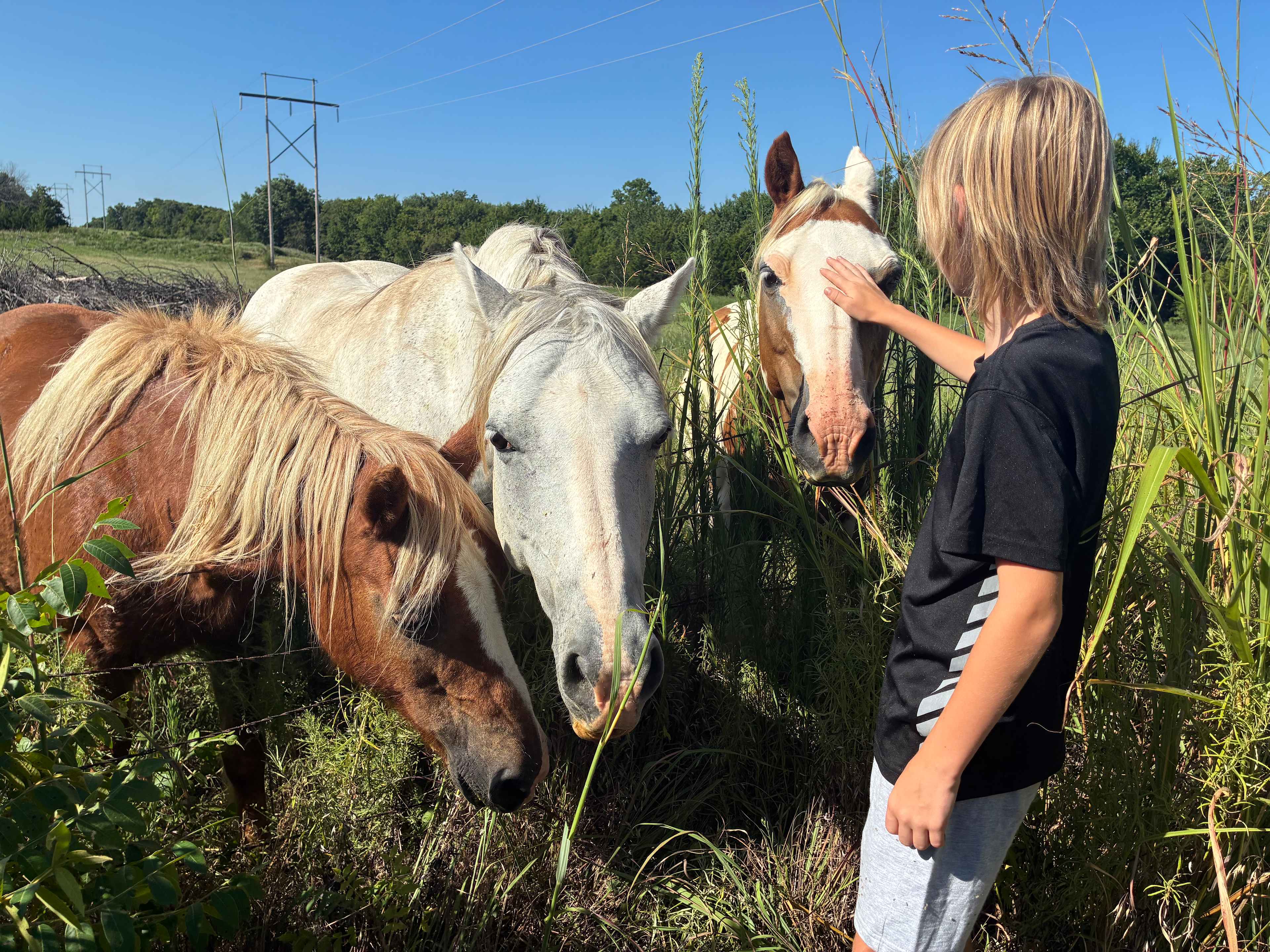 Wandering Trail Farms
