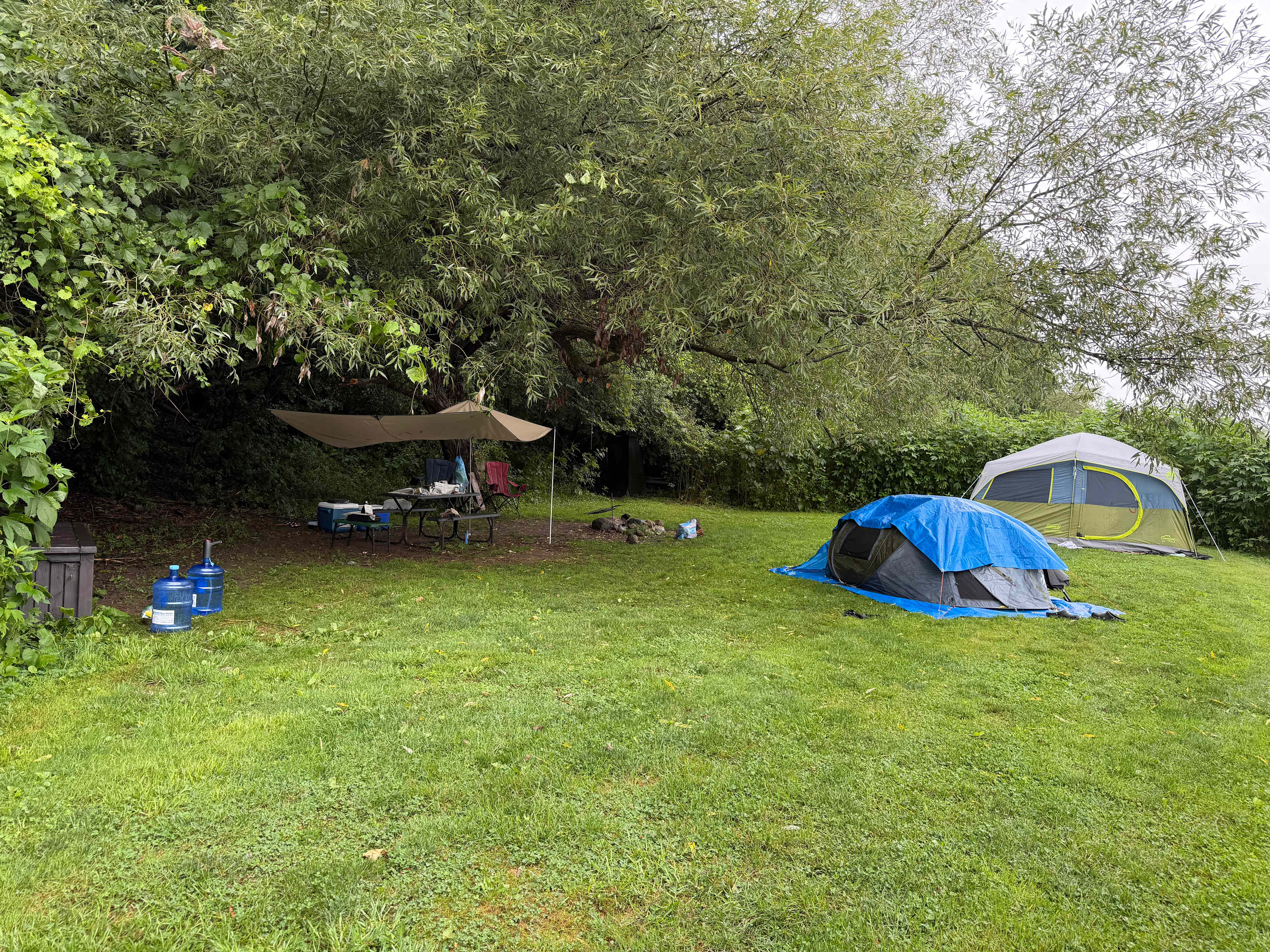 Monarch Meadows Tree Farm