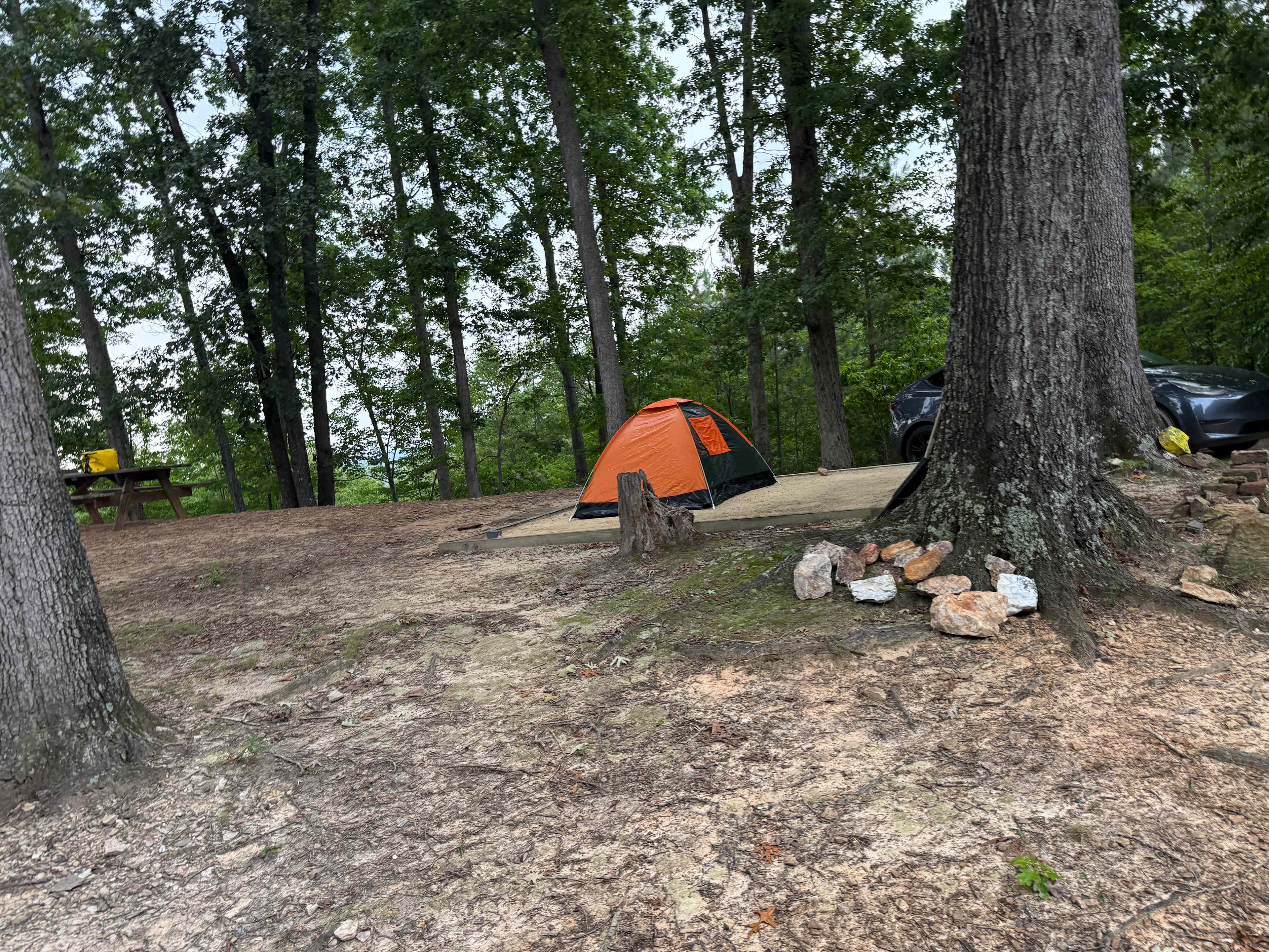 The Rocky Knoll