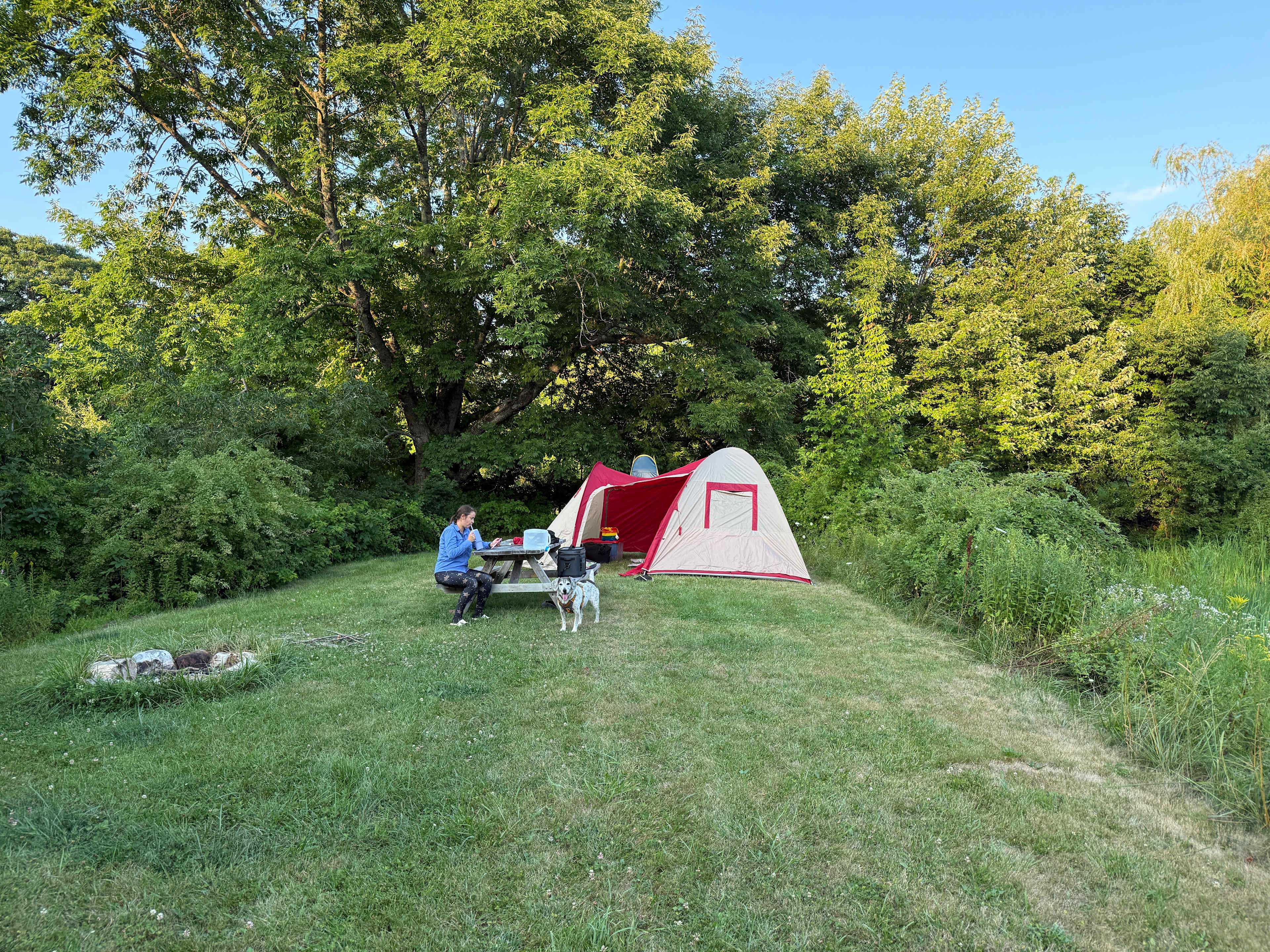 Continuous Harmony Farm Camp