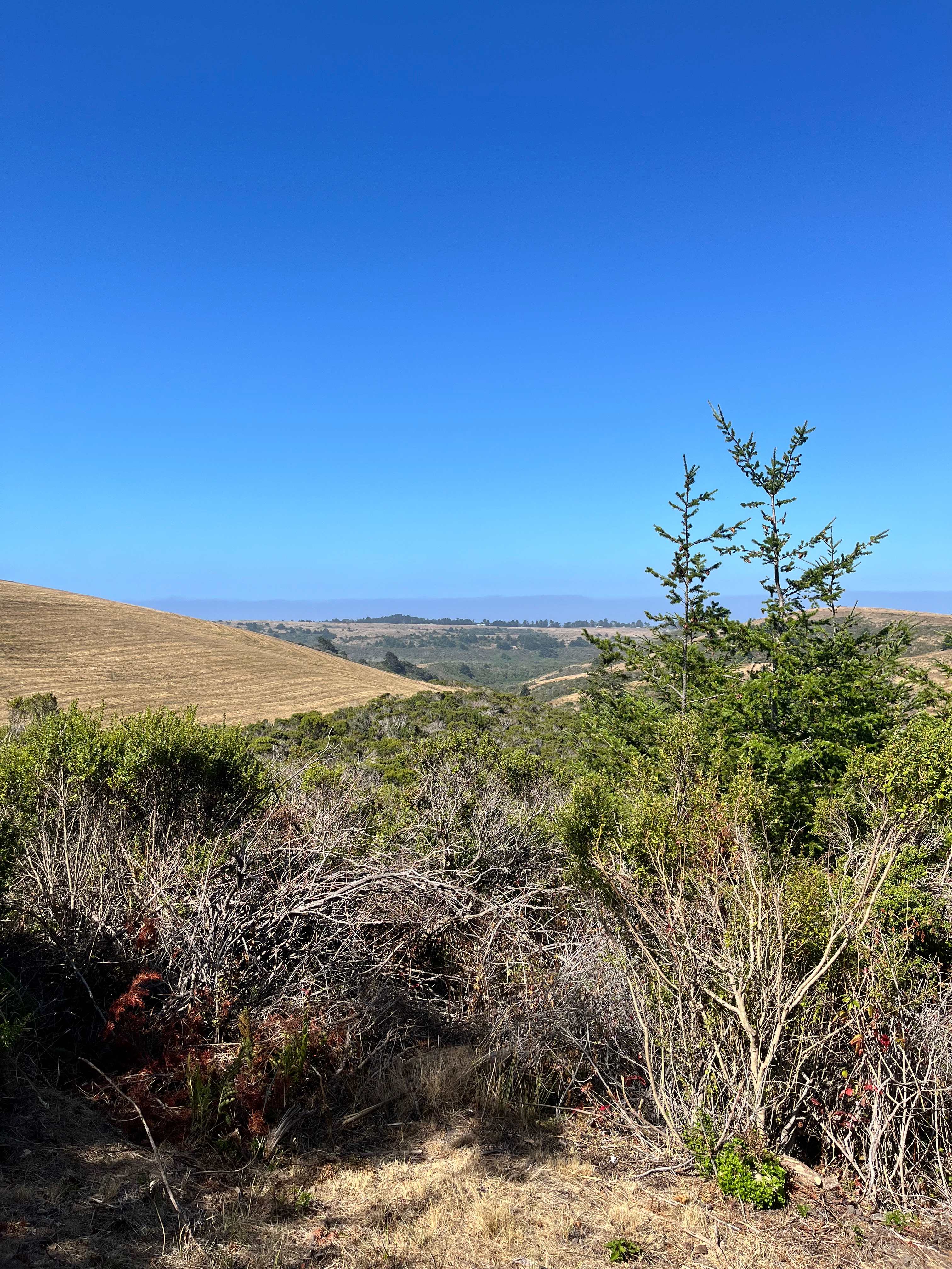 Red Dot Ranch