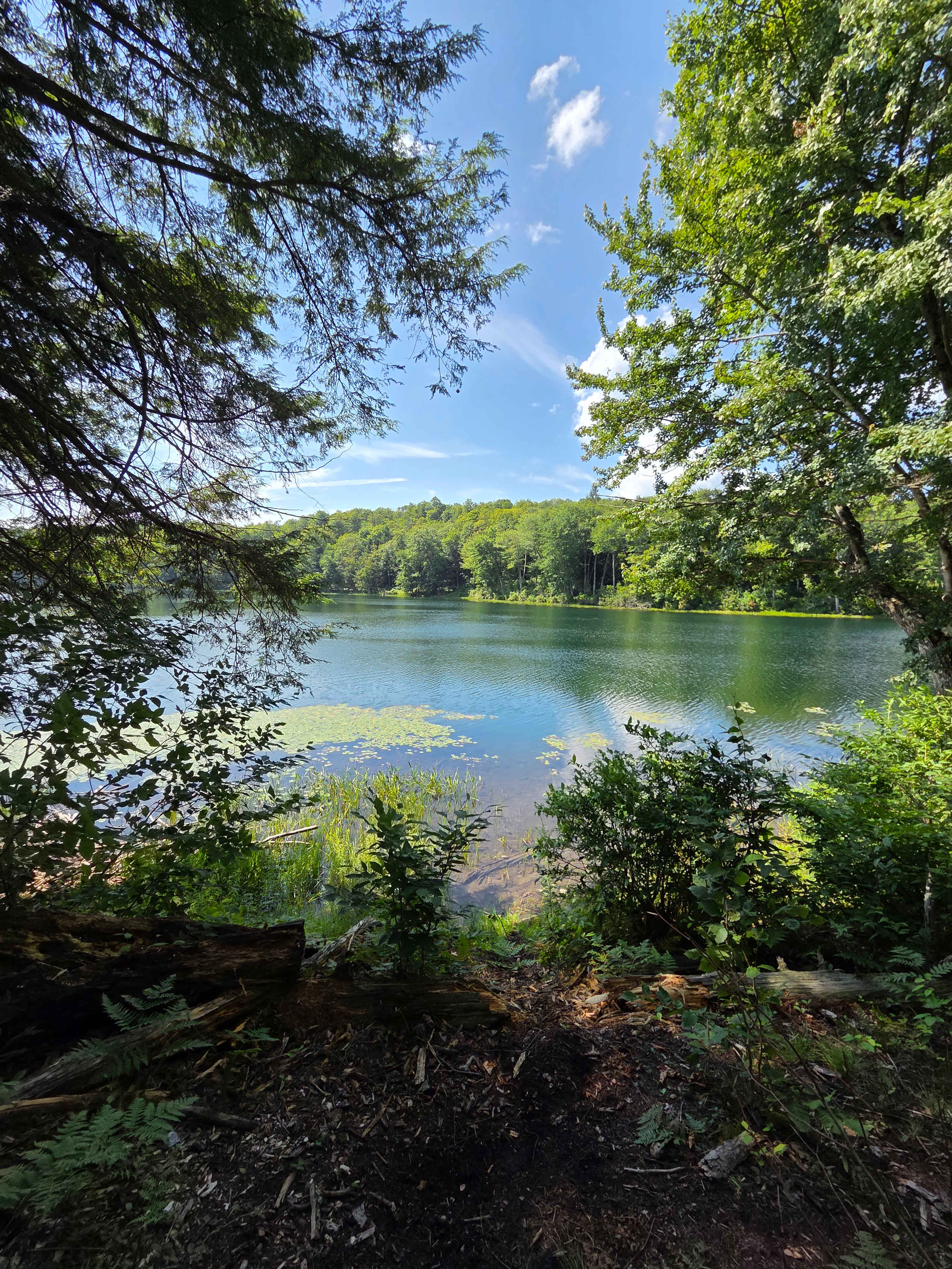 Two Creek Wildland
