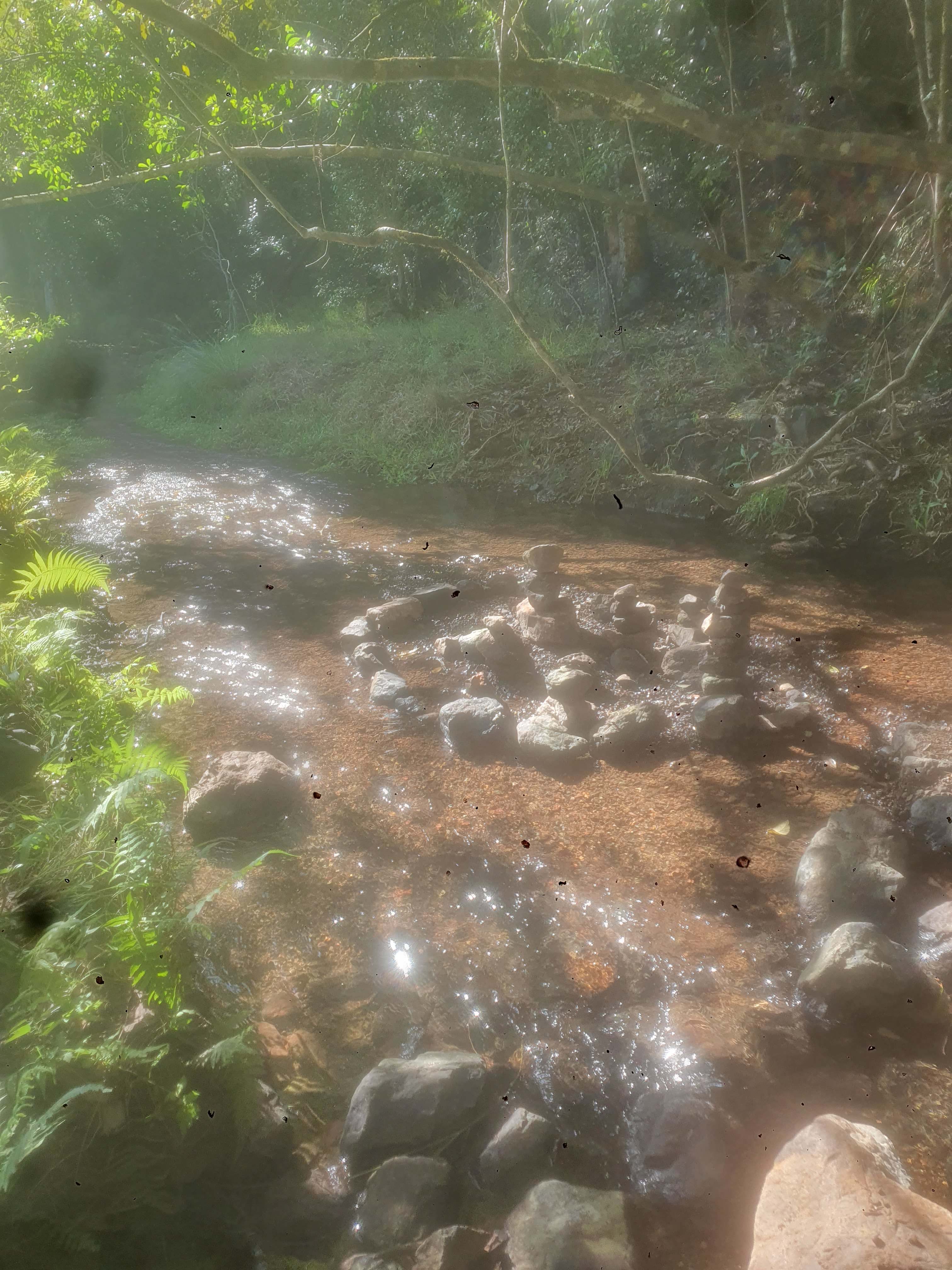 Calico Creek Flats