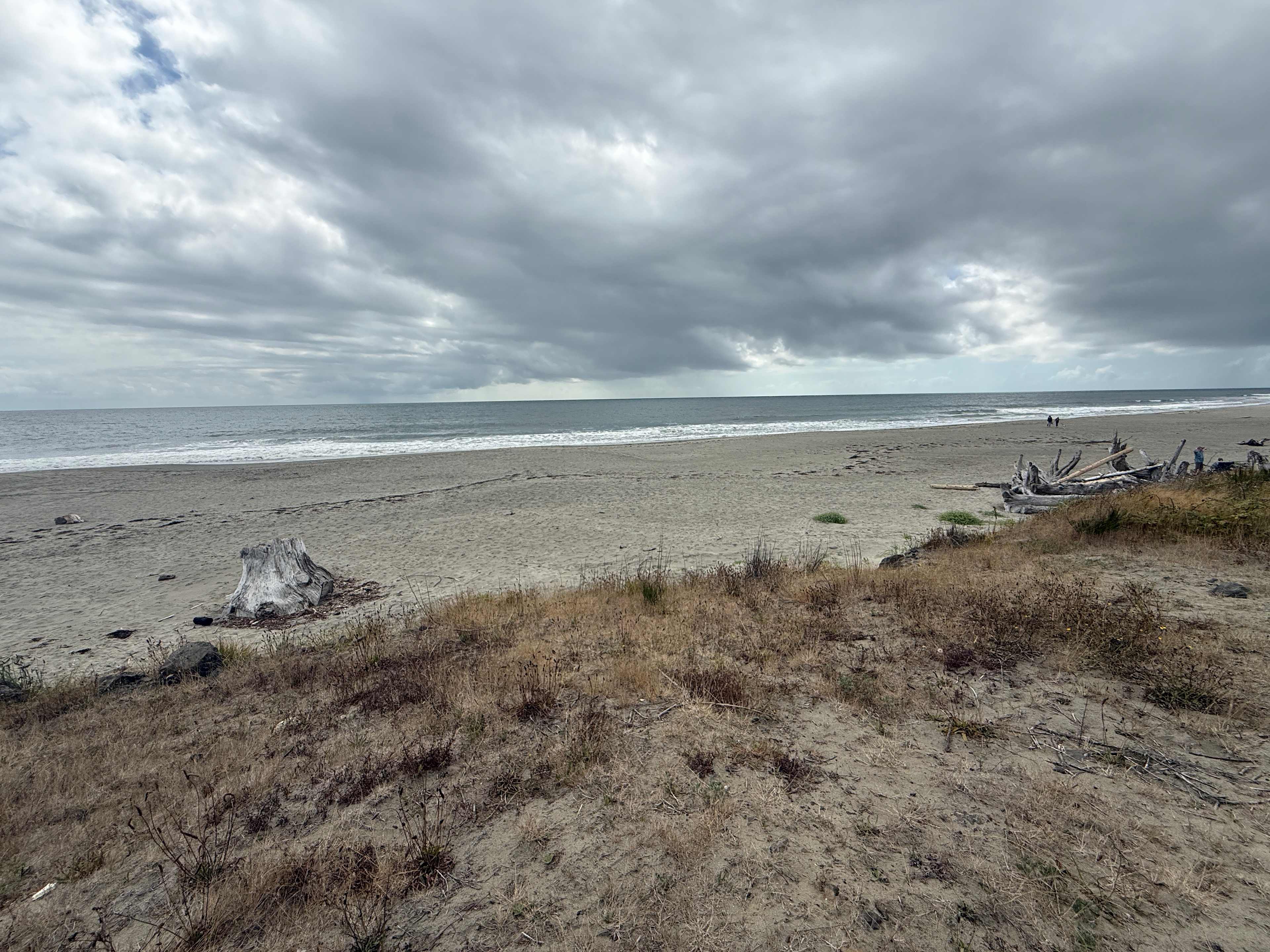 North Cove Coastal Camping WA