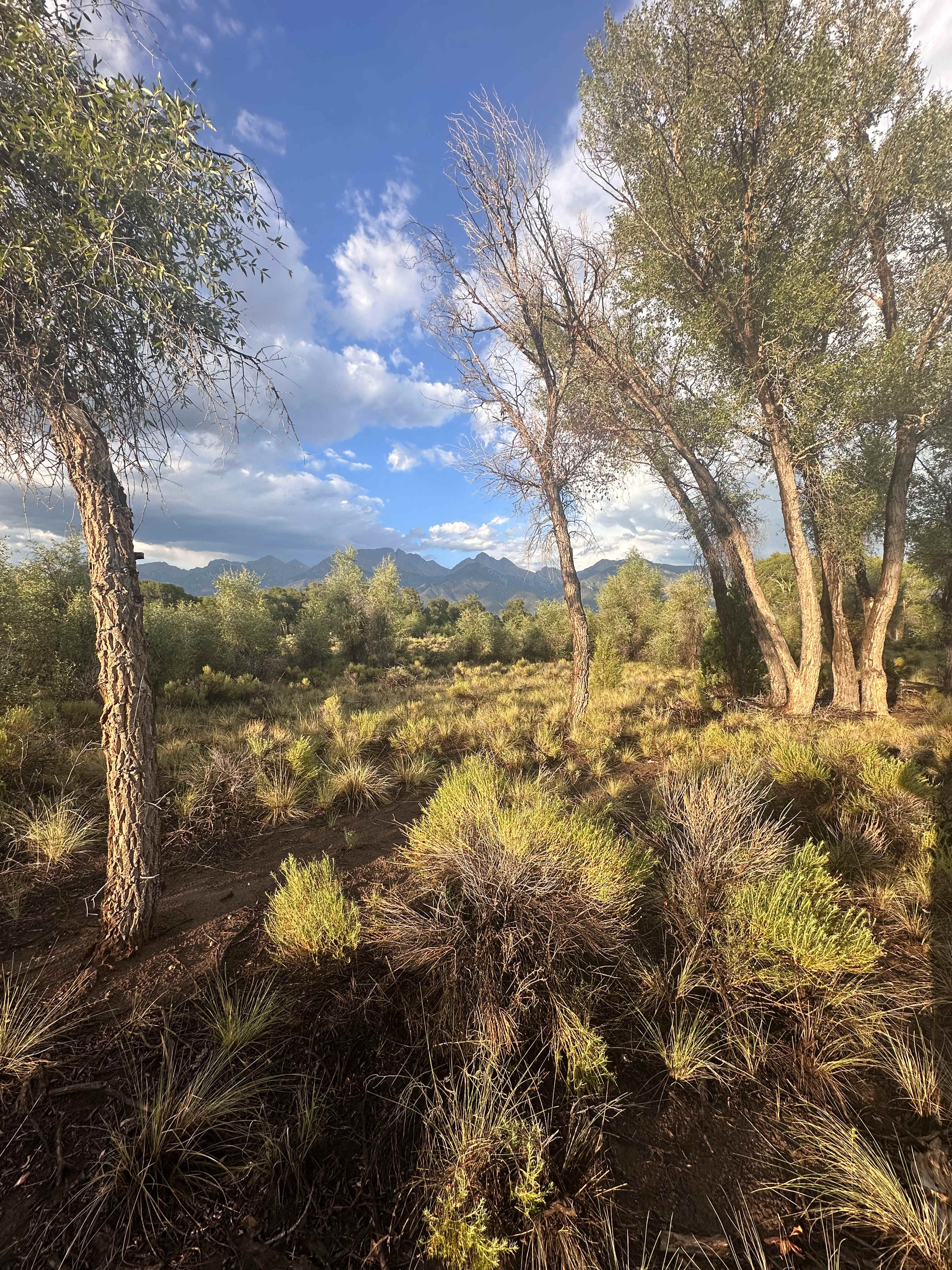 Coyote Mountain, Crestone Open Sky