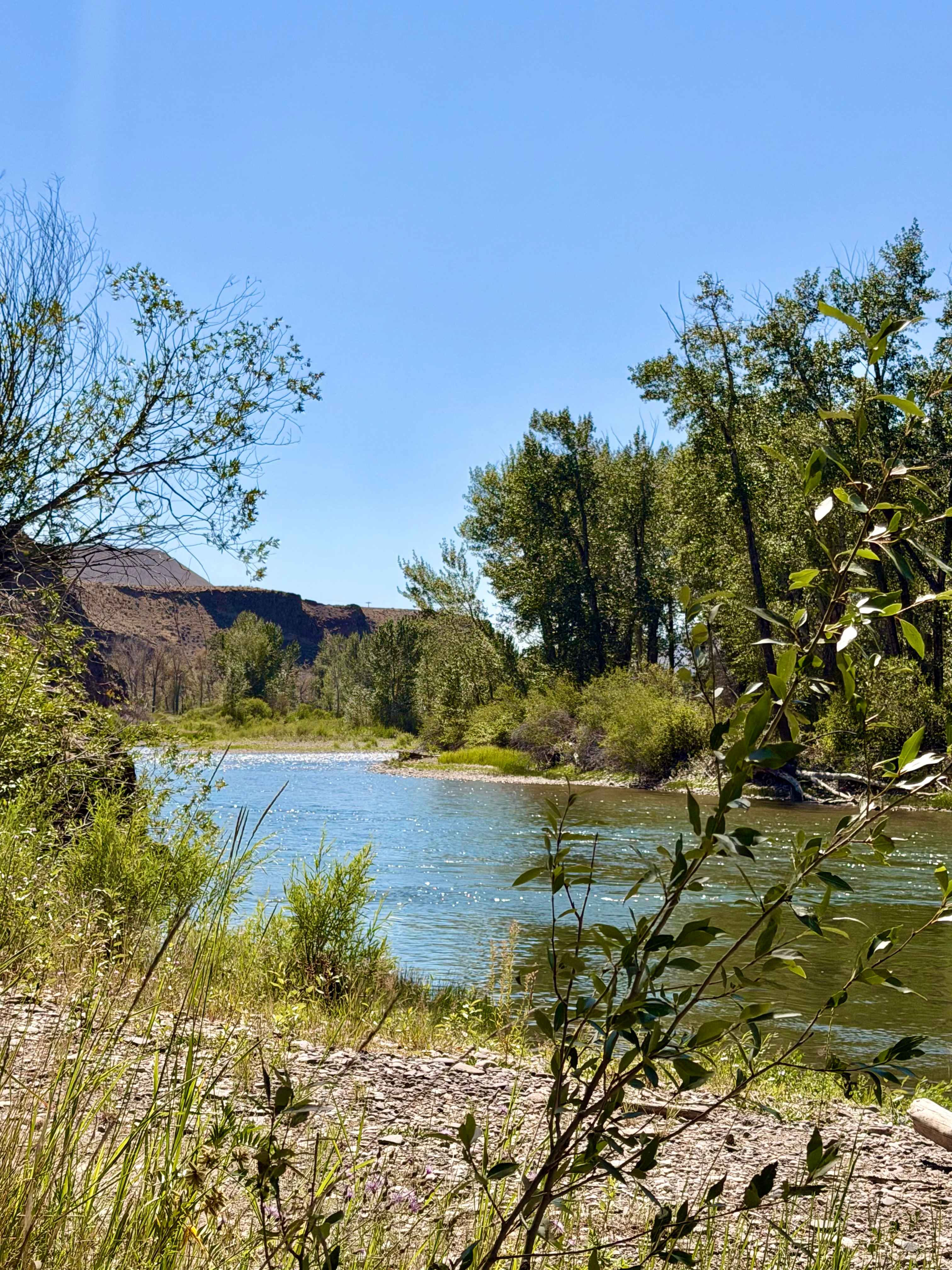 Waterfront campsite looking down river