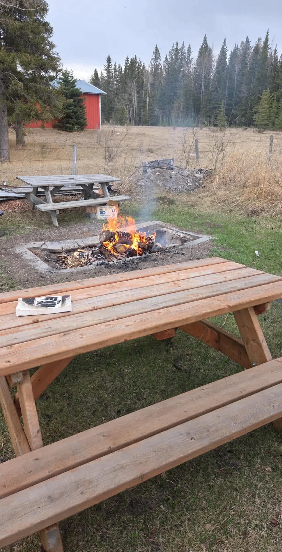 Picture of the site
