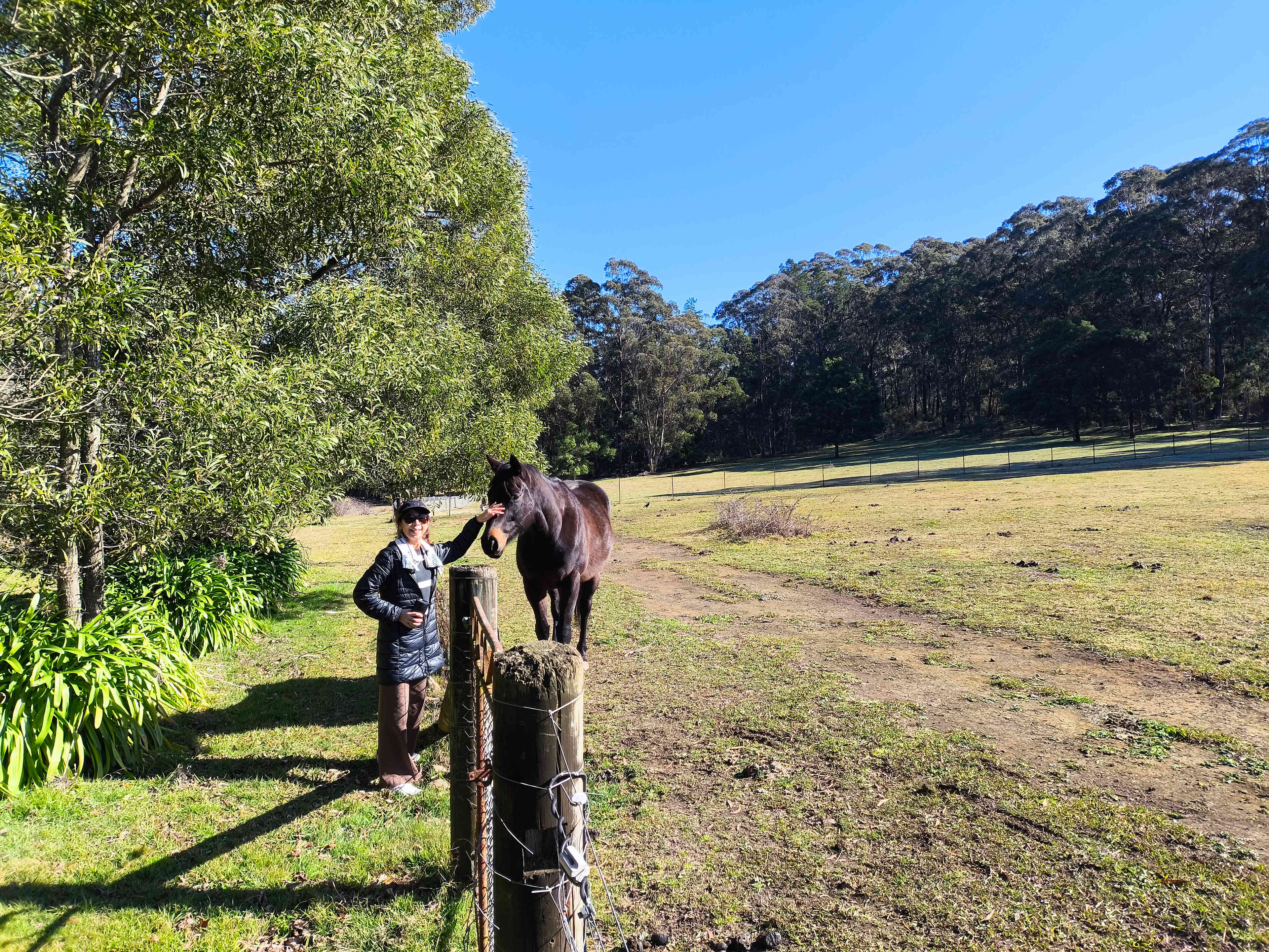 Oakleigh Farm Stay