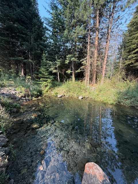 Natural pool with reinvigorating fresh water. 