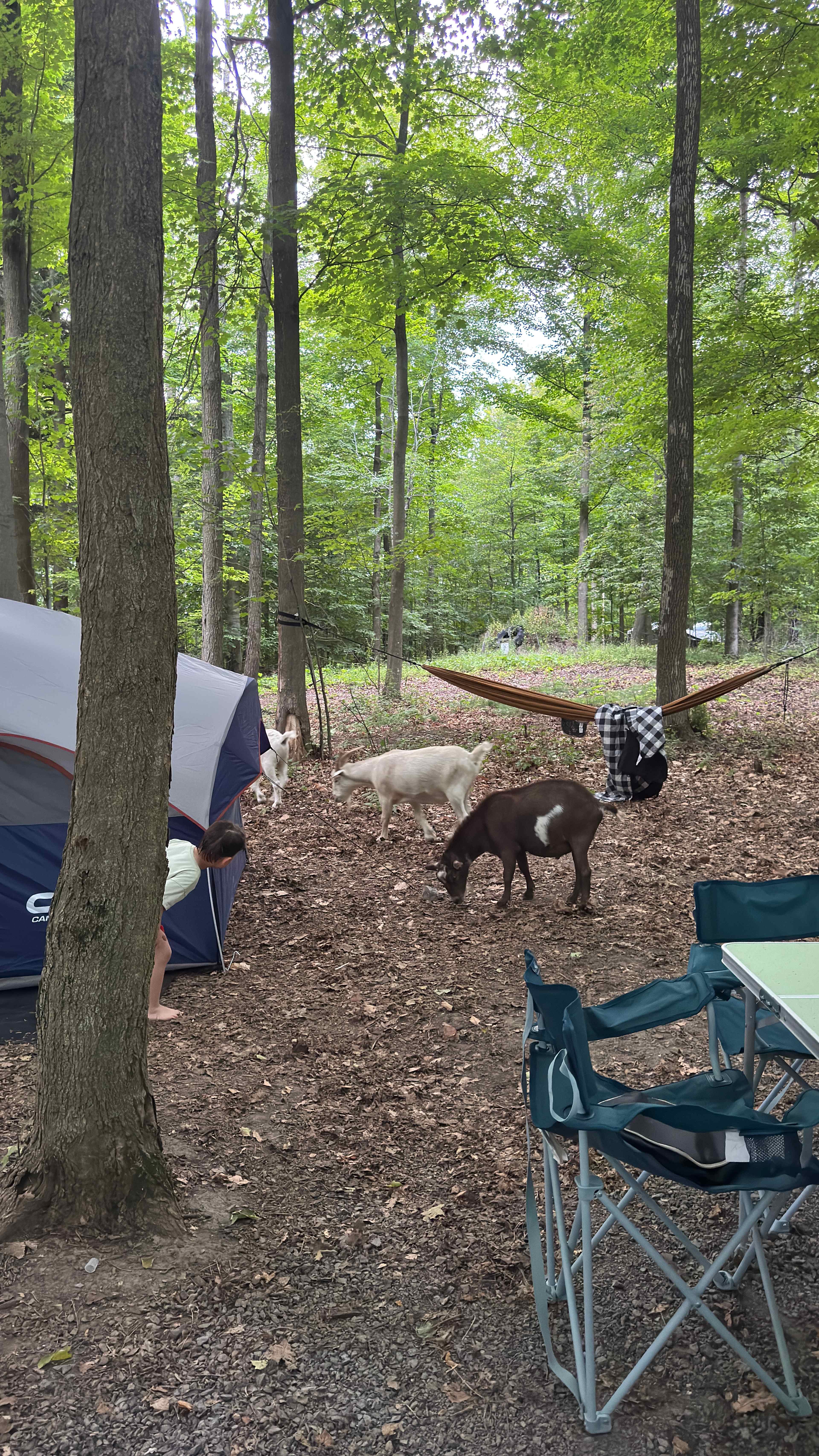 The Kountry Korner