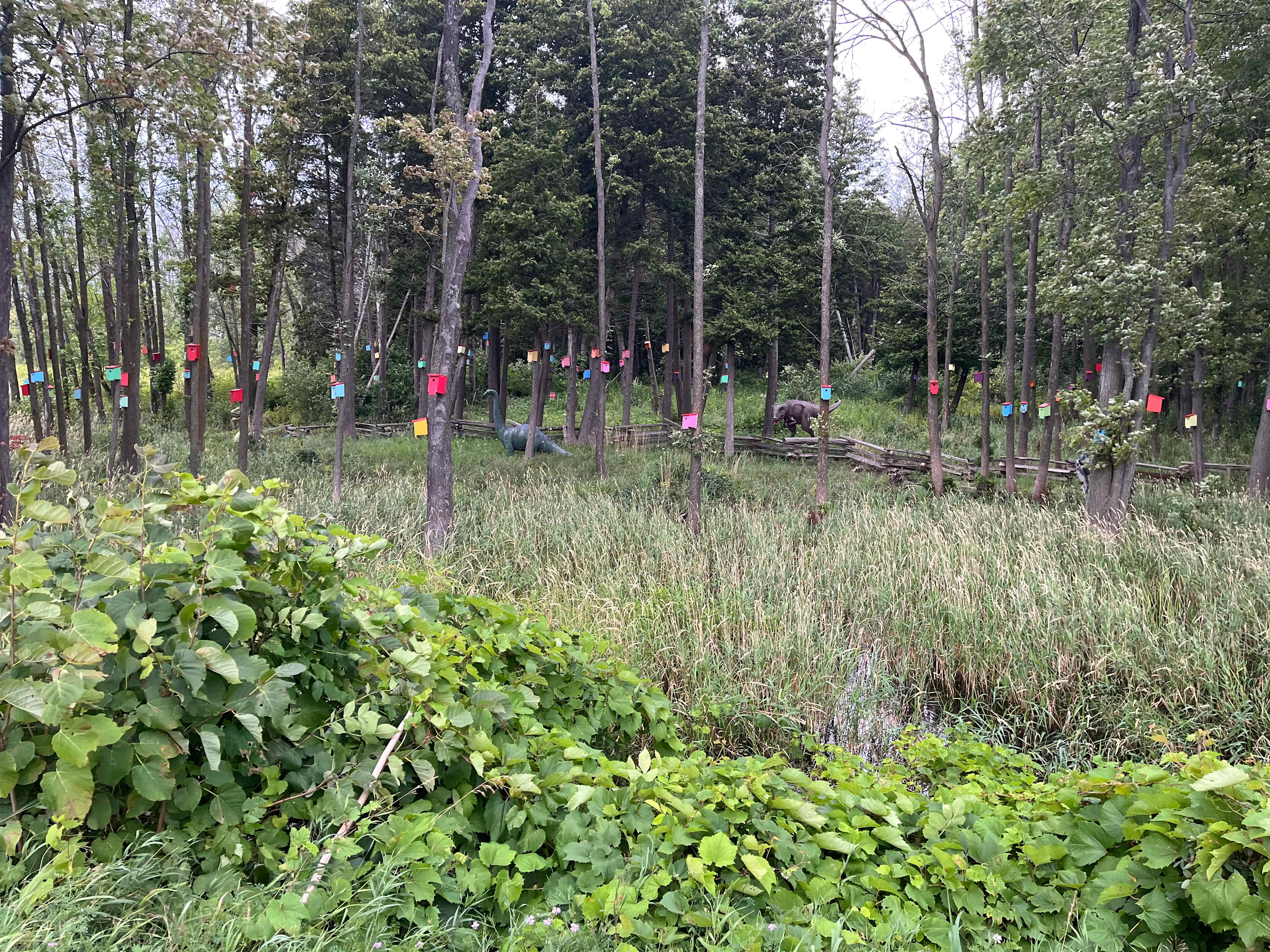 Bird houses and dinosaurs across from White’s beach. 