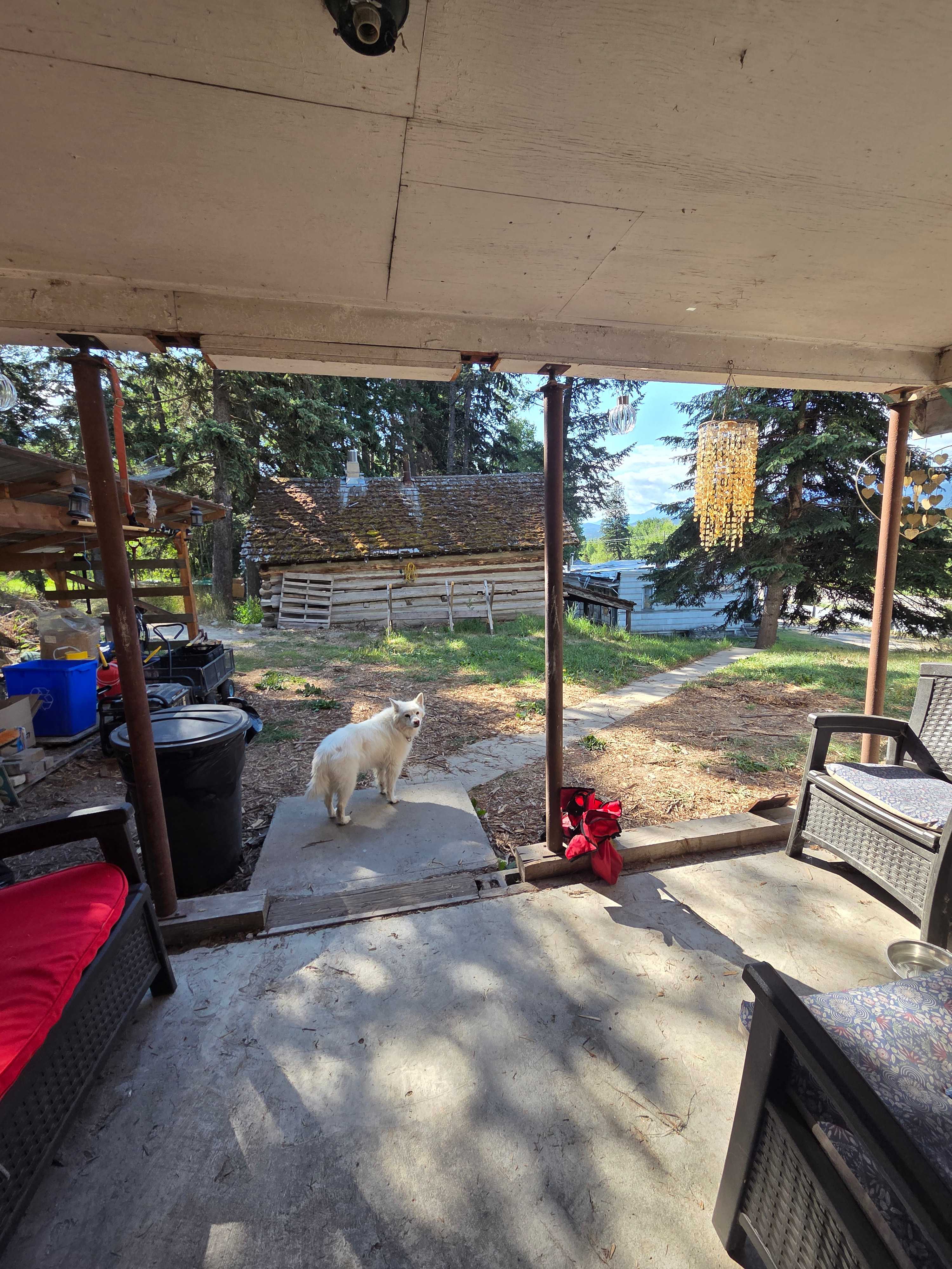 Flyway Farm & Forest