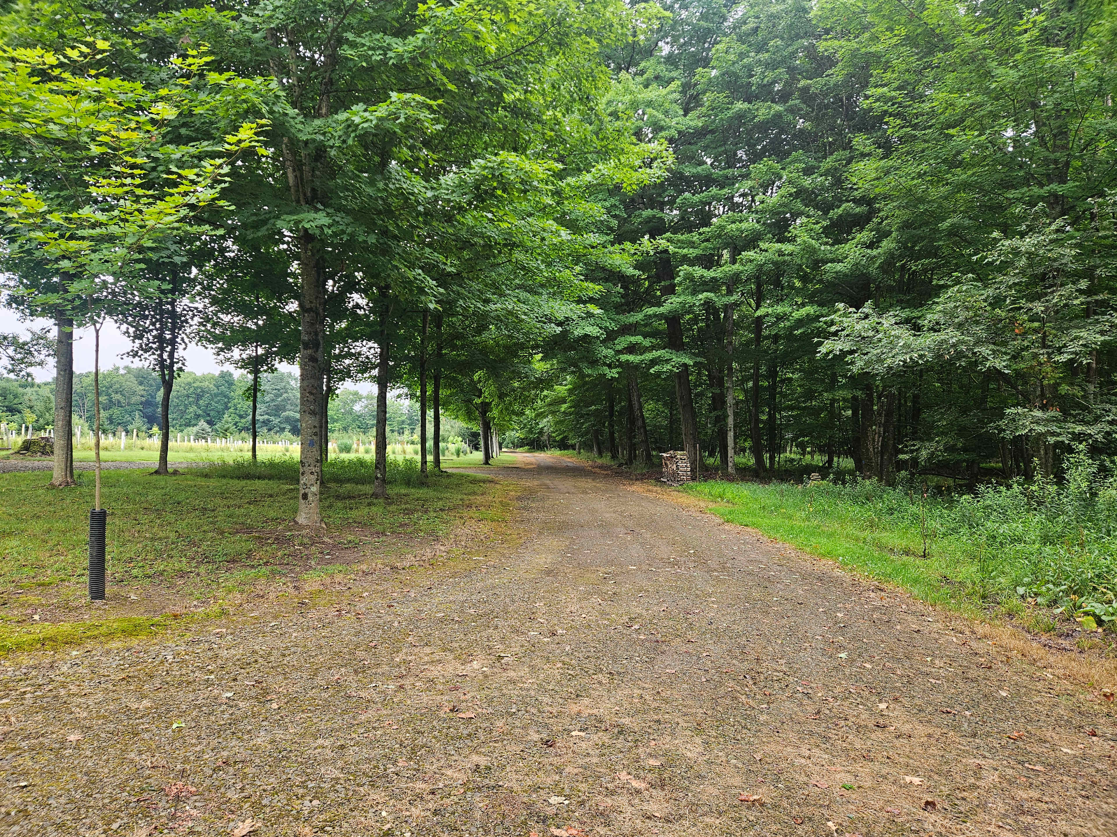 Chappel Hill Tree Farm