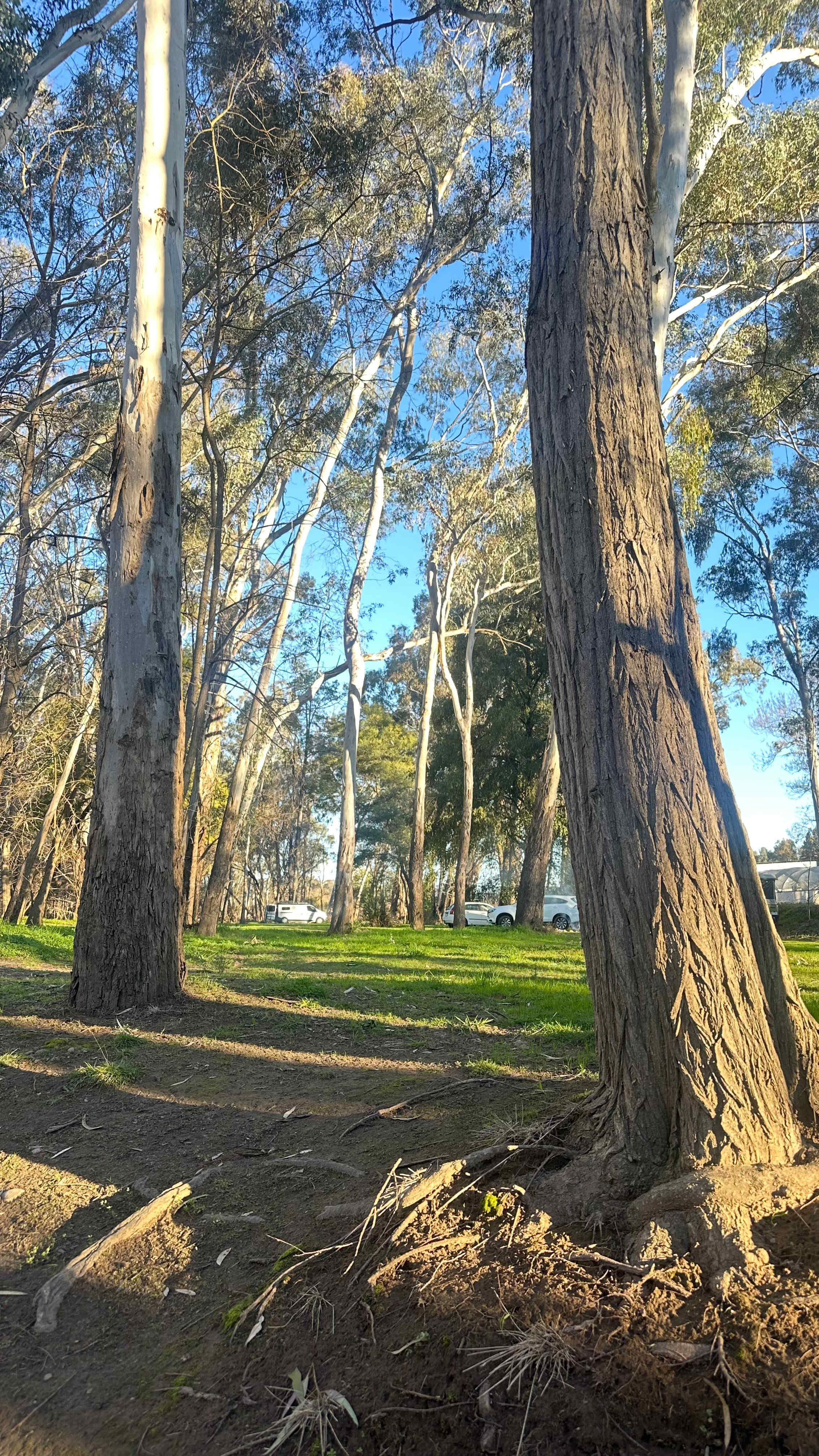 Riverside King Valley