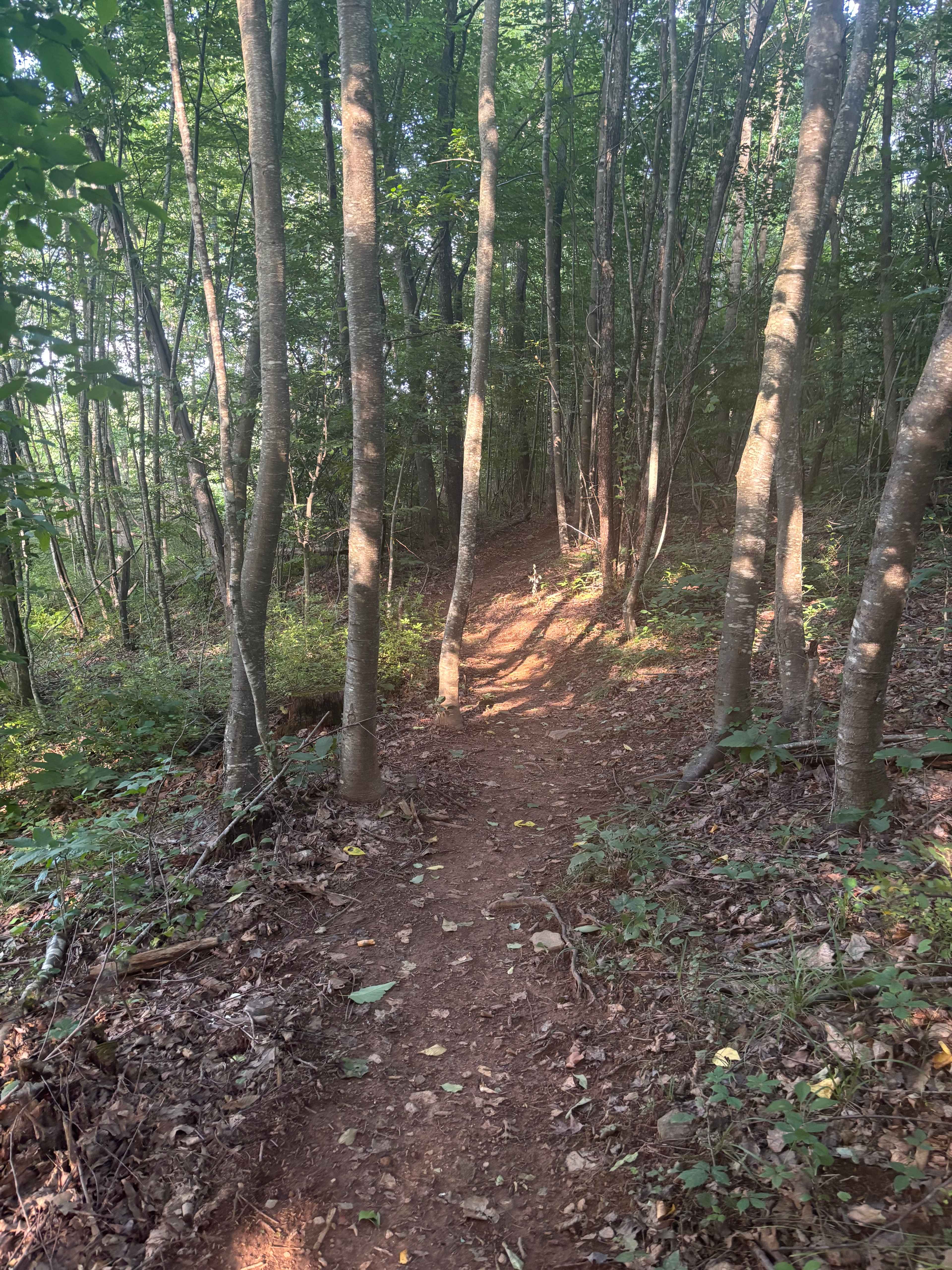 Crooked Mountain