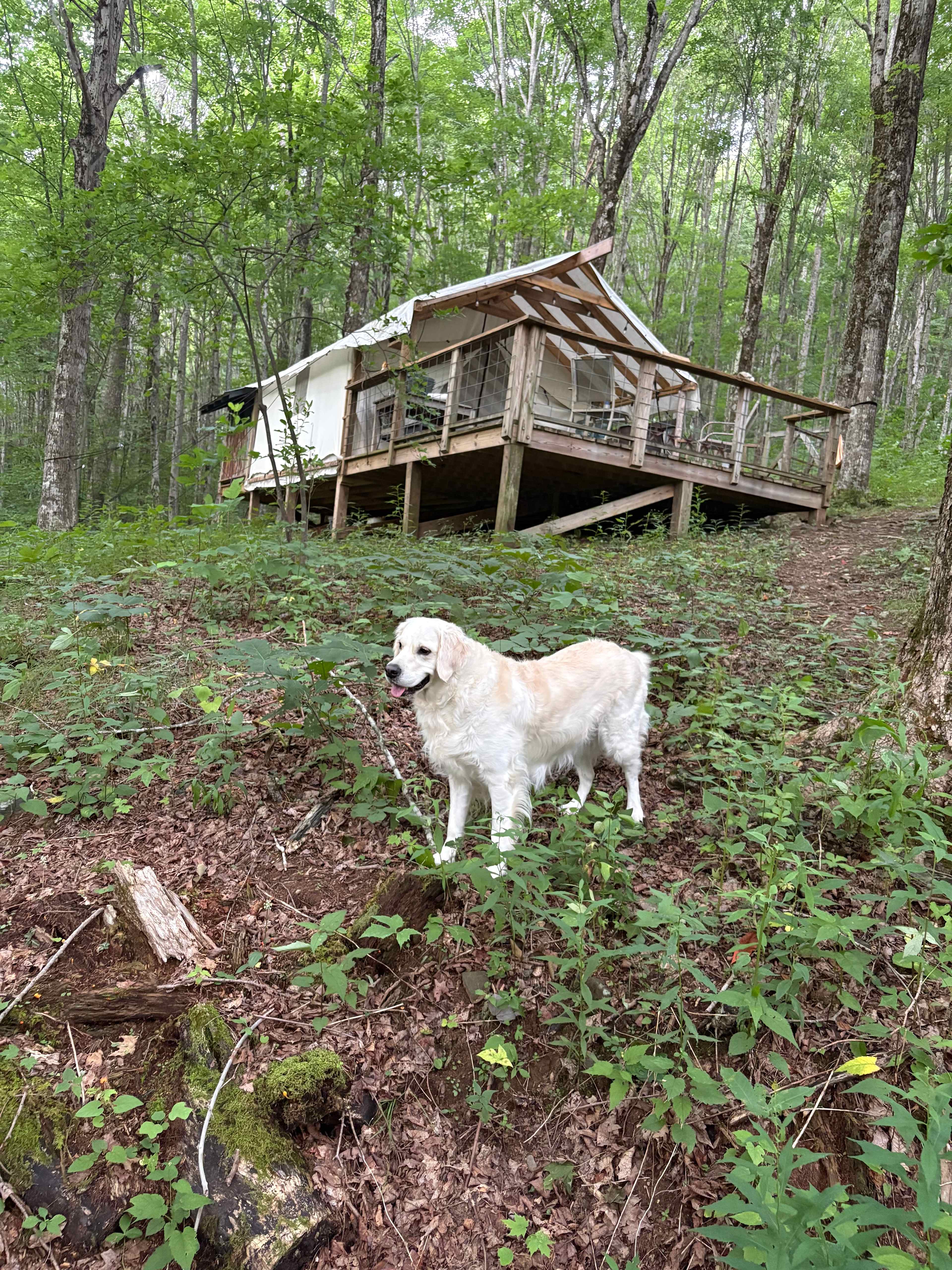 Longhope Mountain Glamping