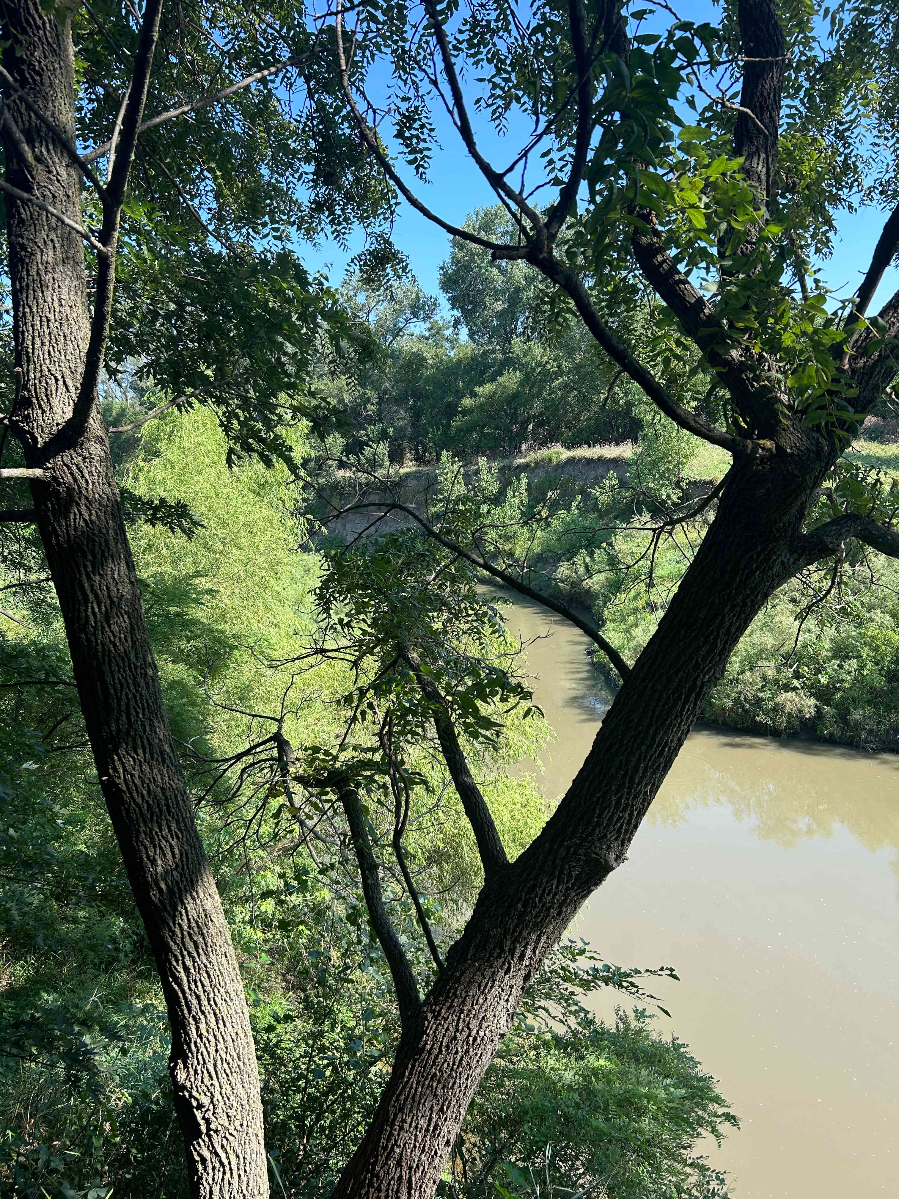 Little Rivers Edge RV Park and Camp