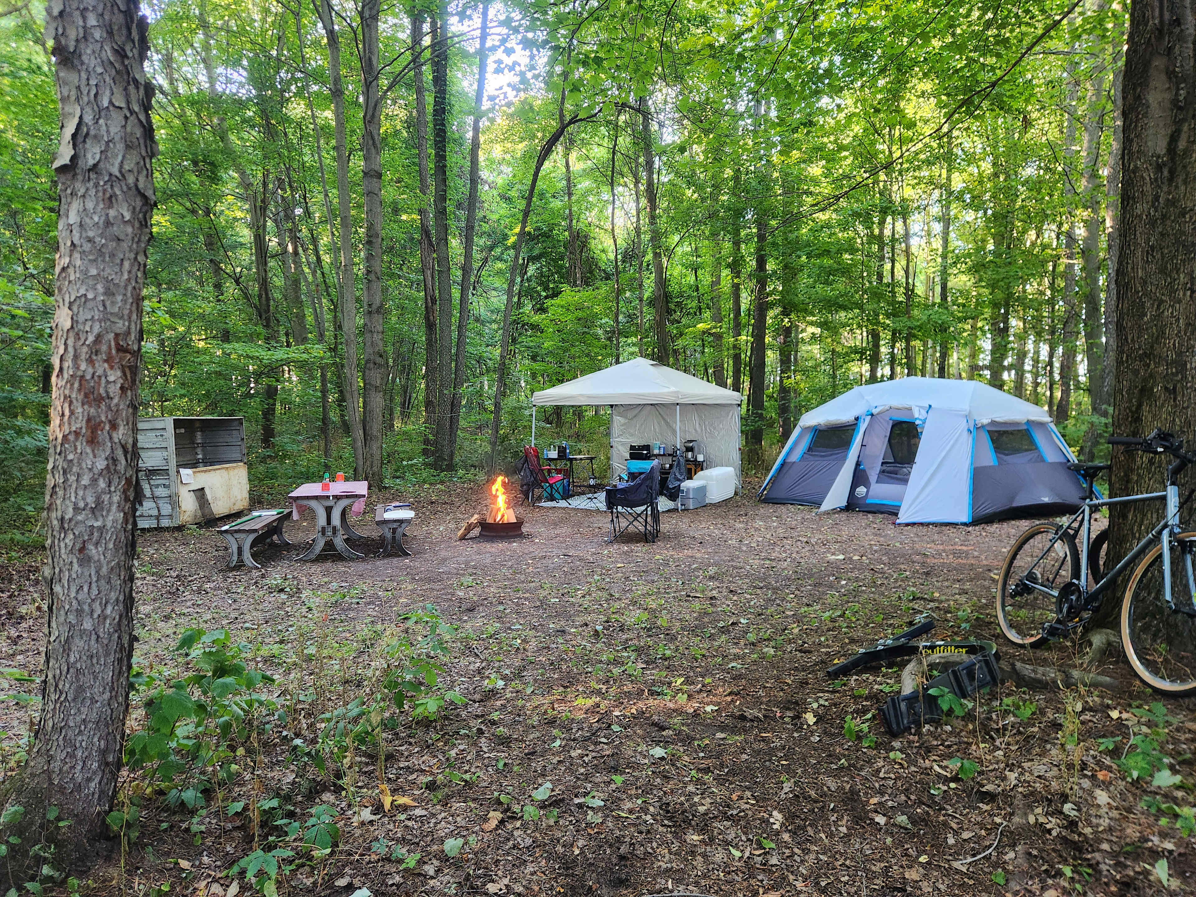 Spring Arbour Magic Forest &Trails!