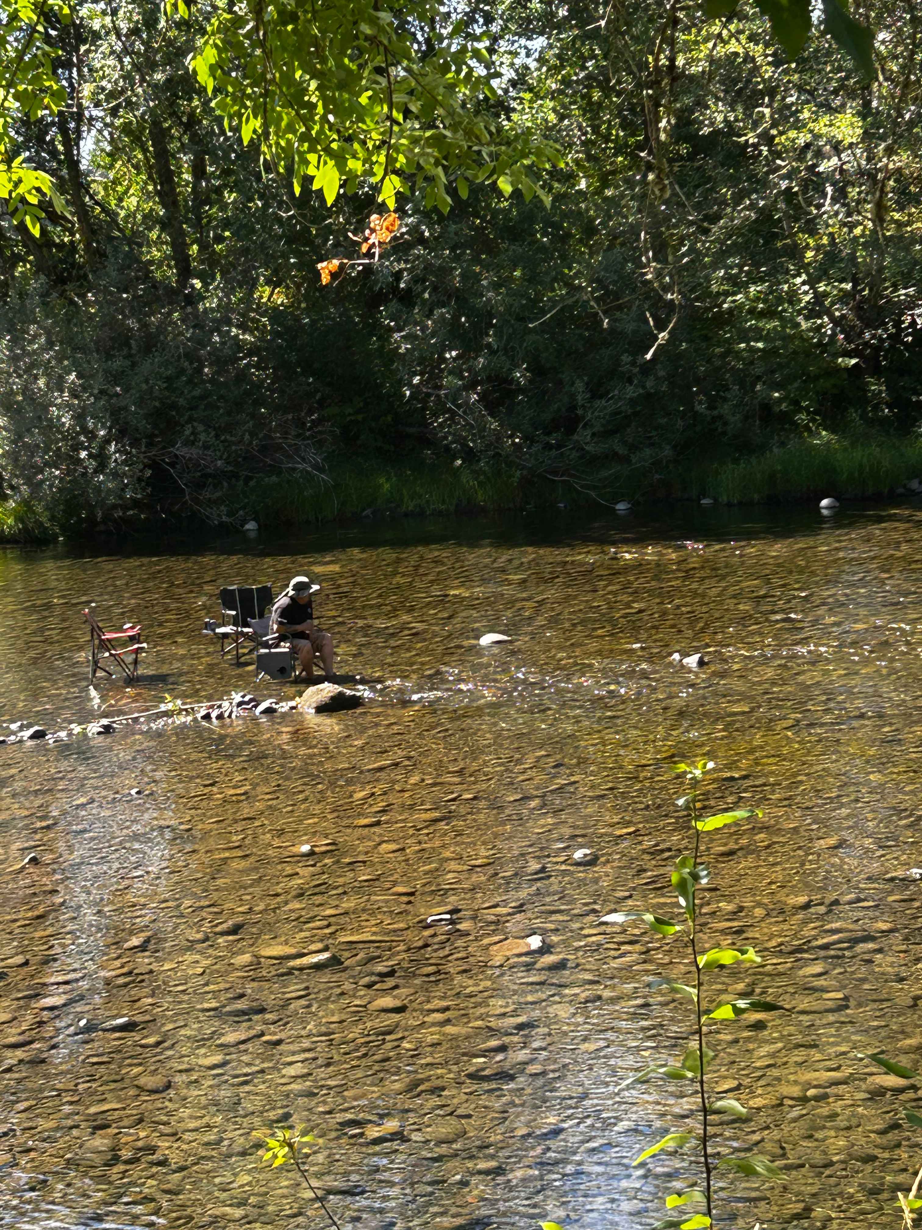 Molalla Ripple